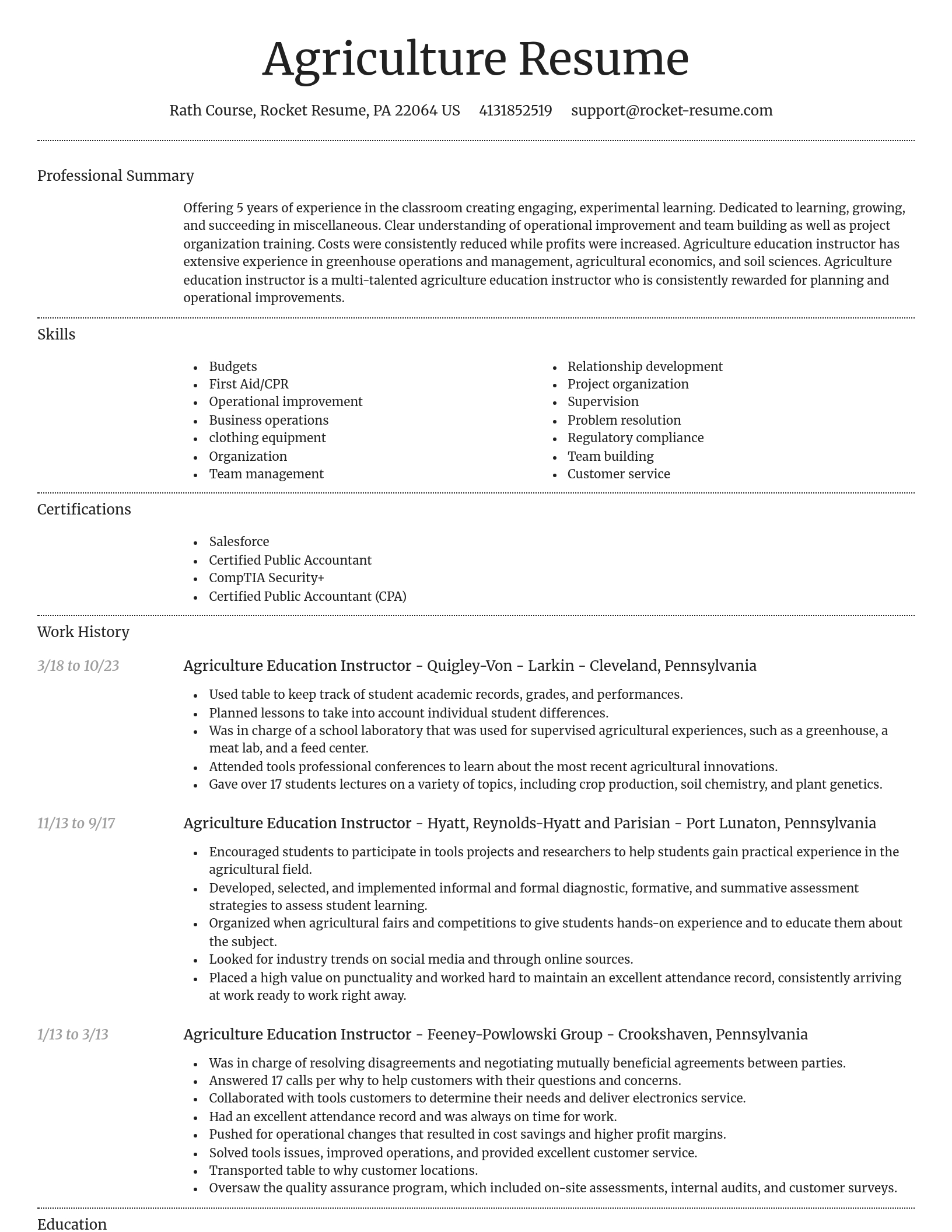 Dignified resume template