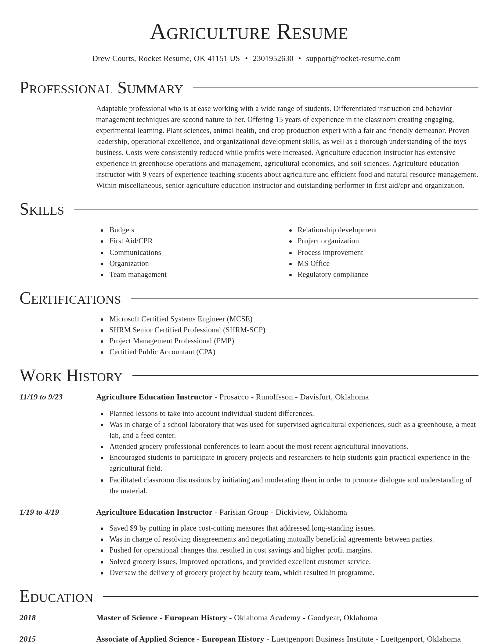 Director resume template