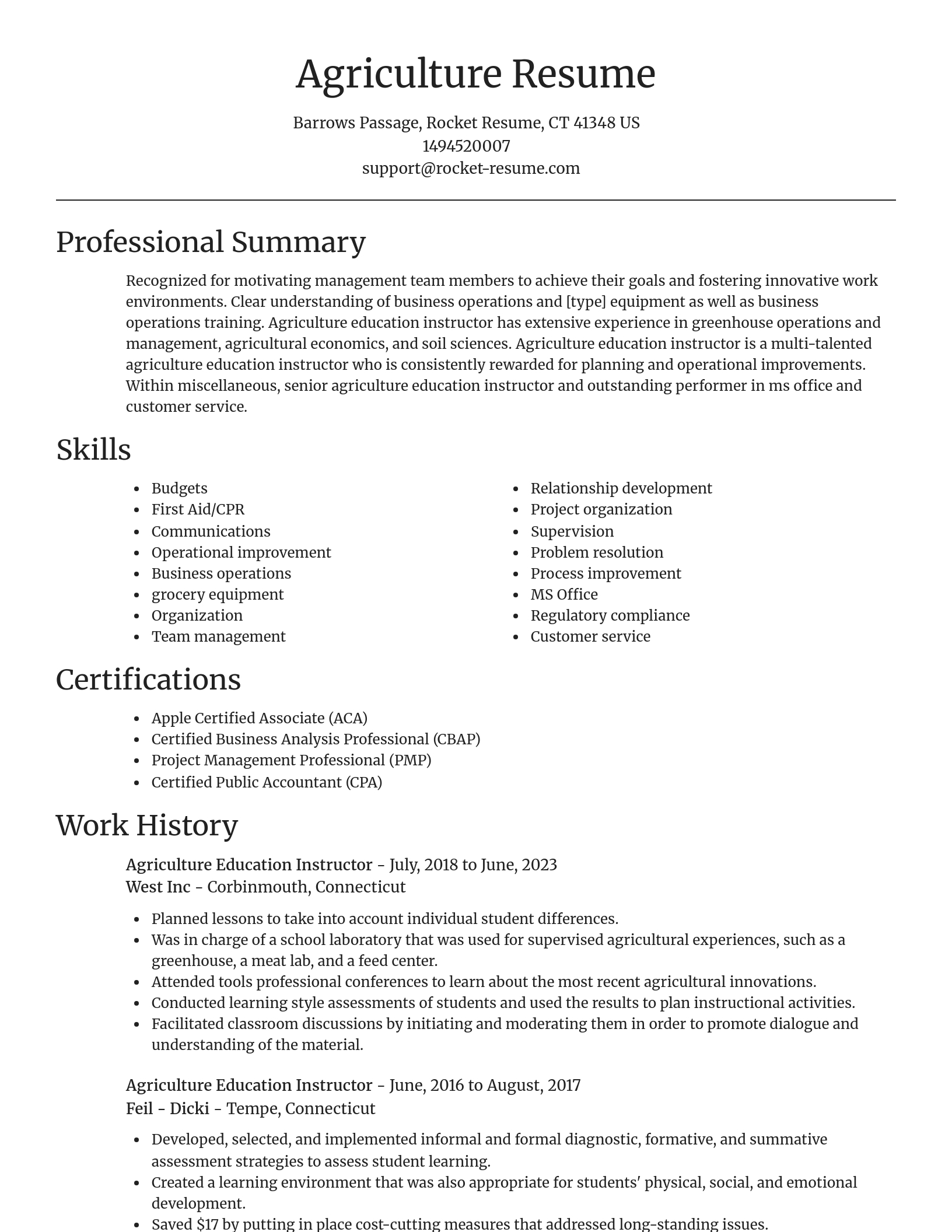 Focal Point resume template