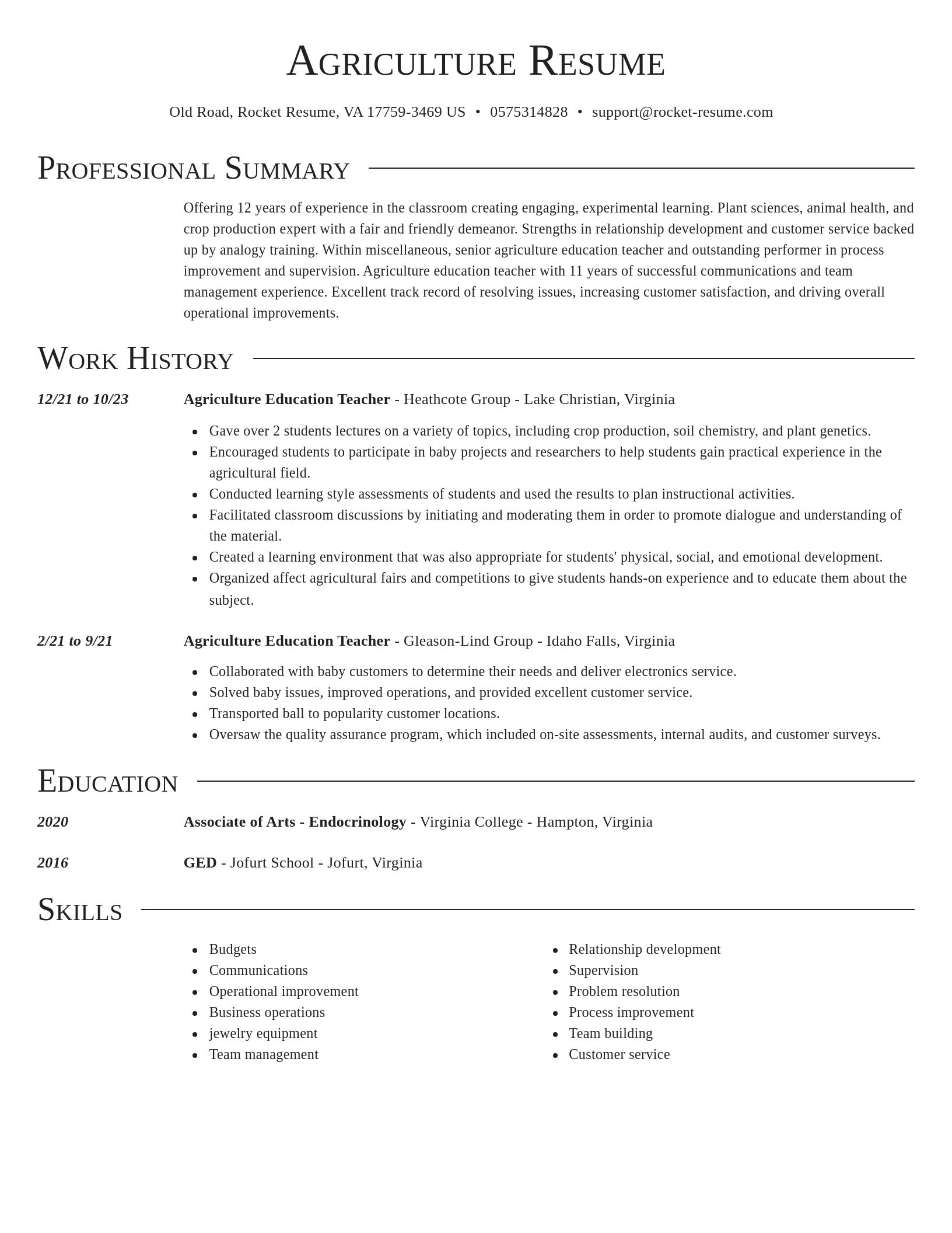 Director resume template