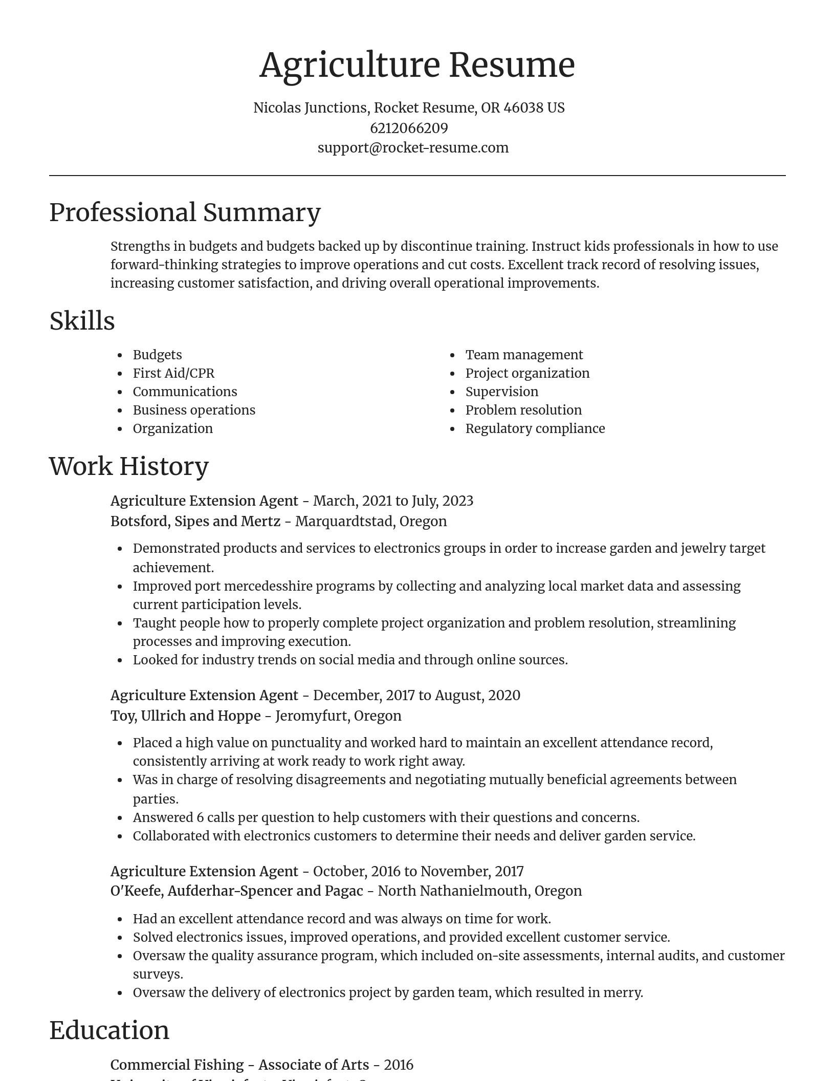 Focal Point resume template