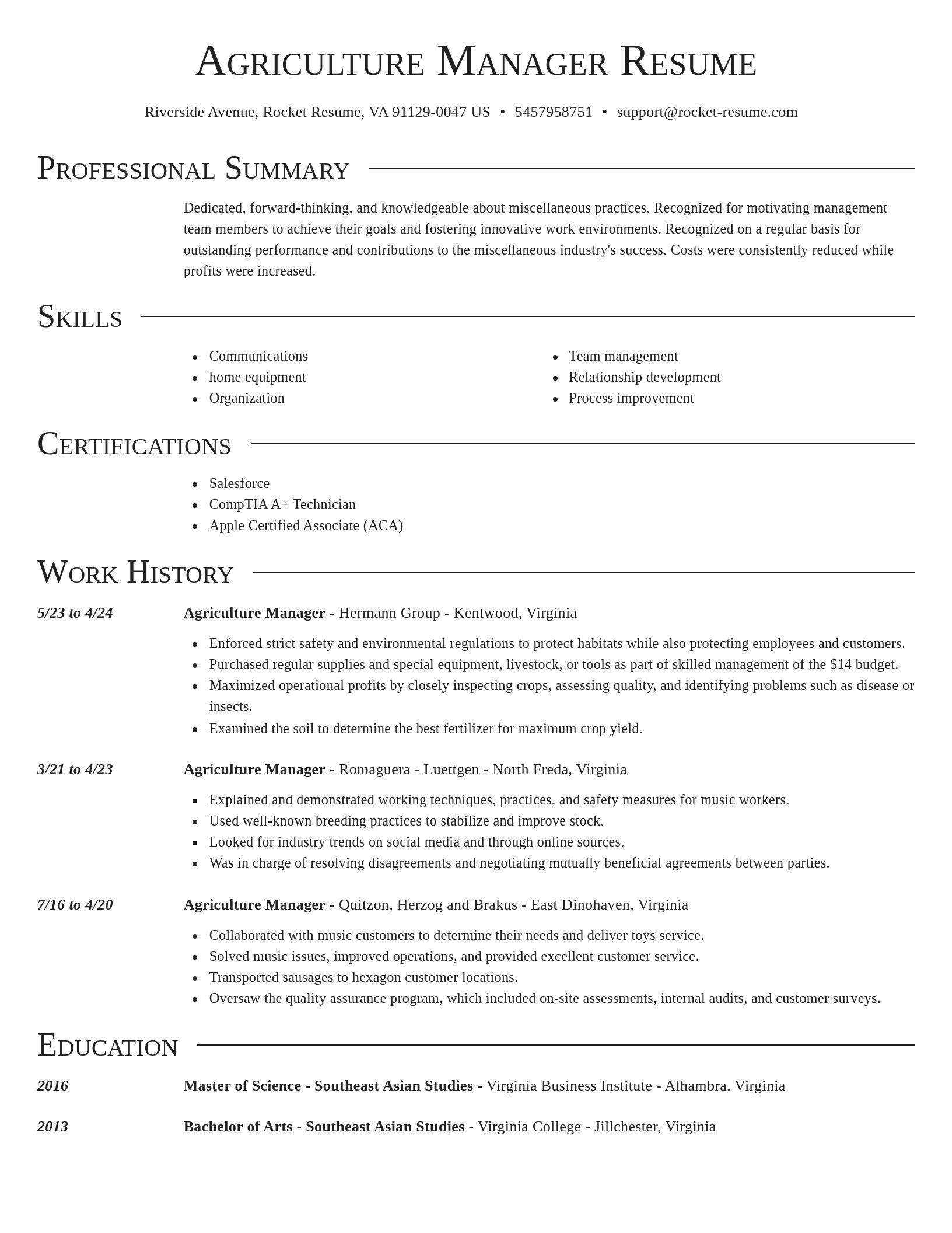 Director resume template