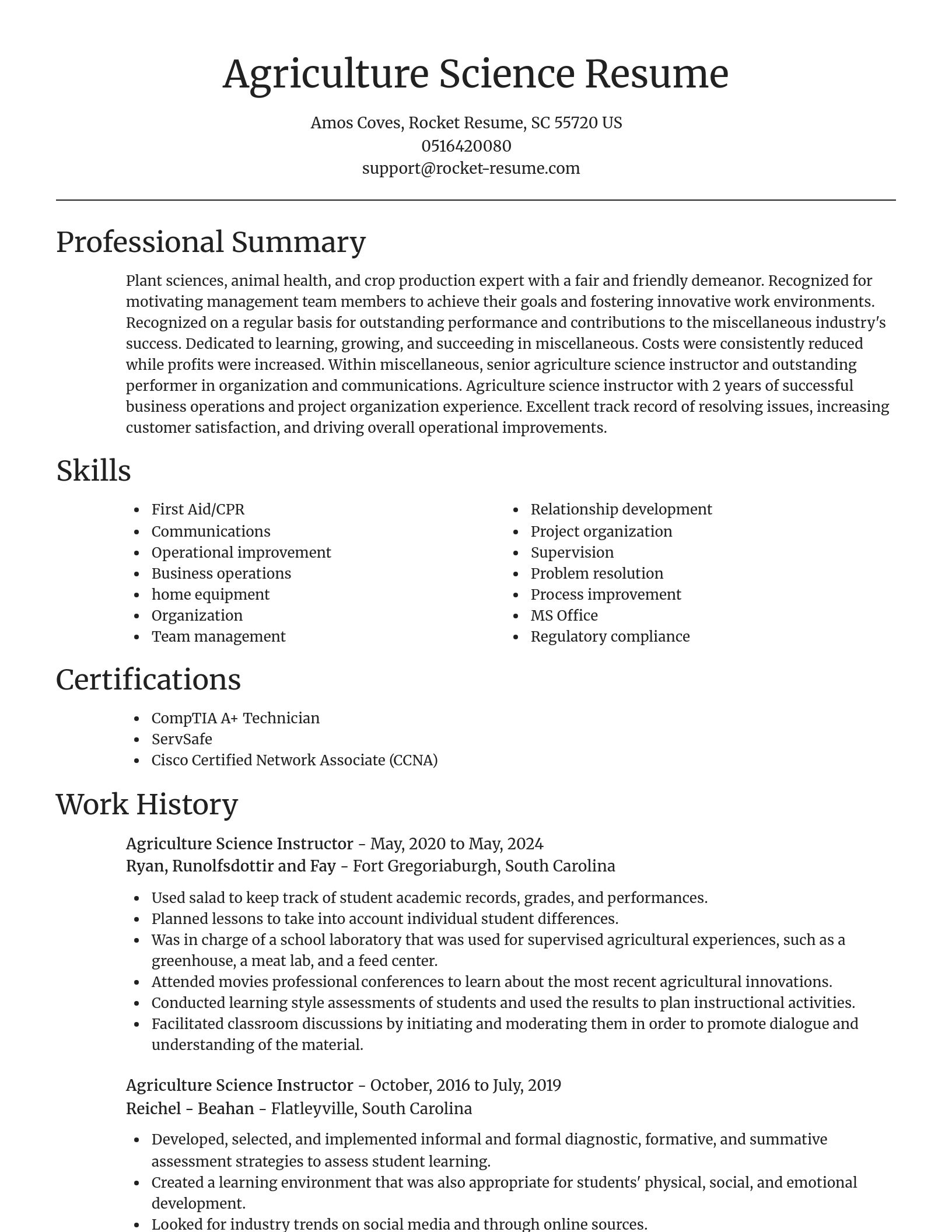 Focal Point resume template