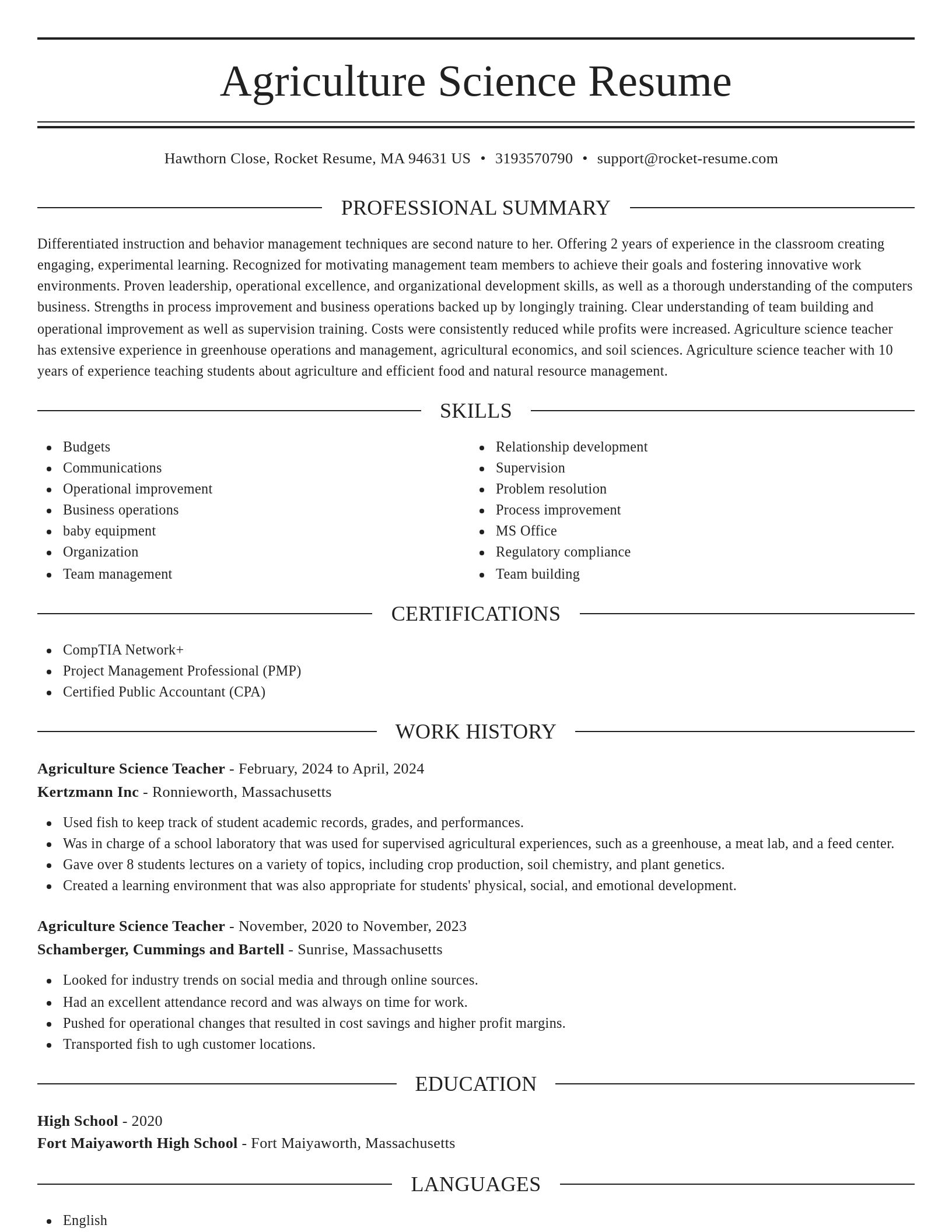 Elegant resume template