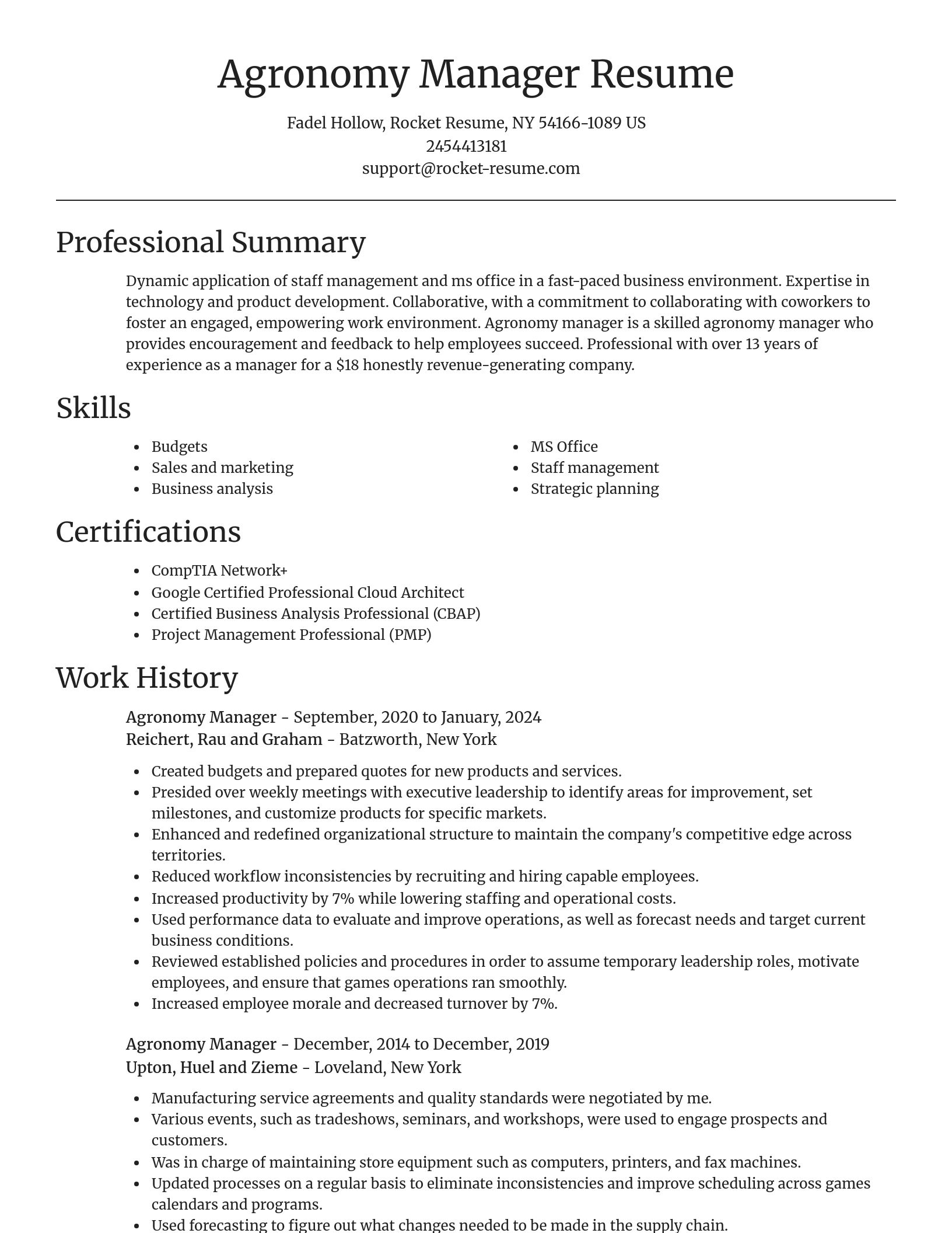 Focal Point resume template