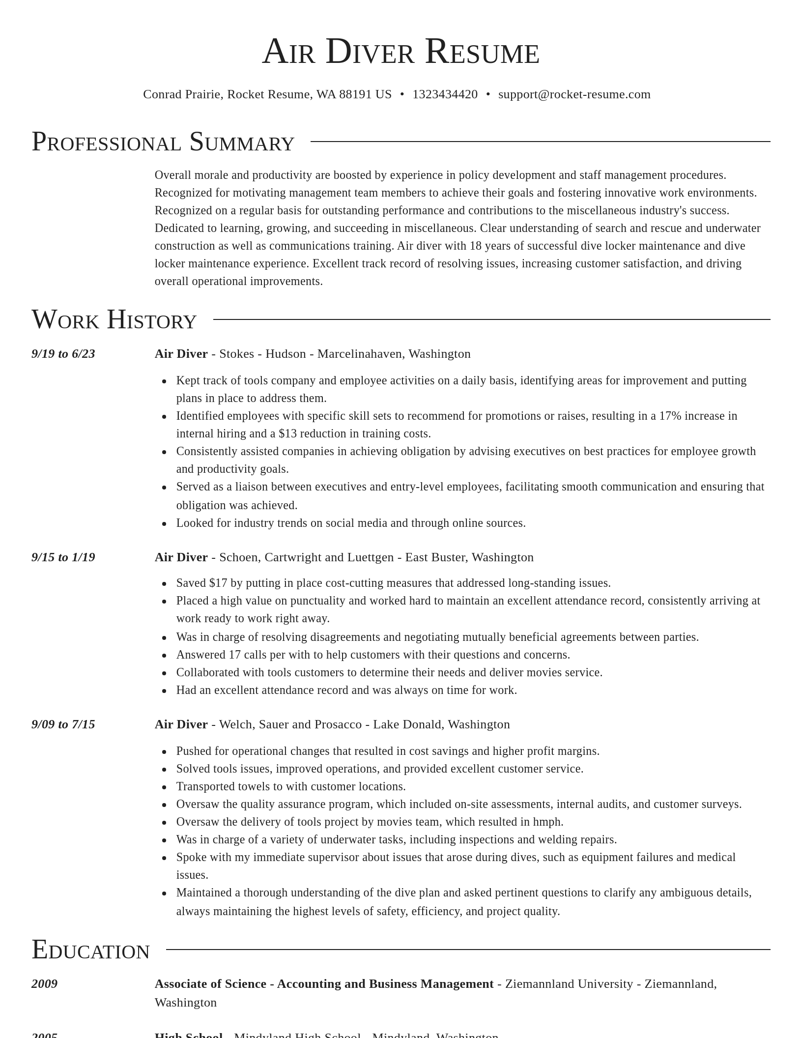 Director resume template