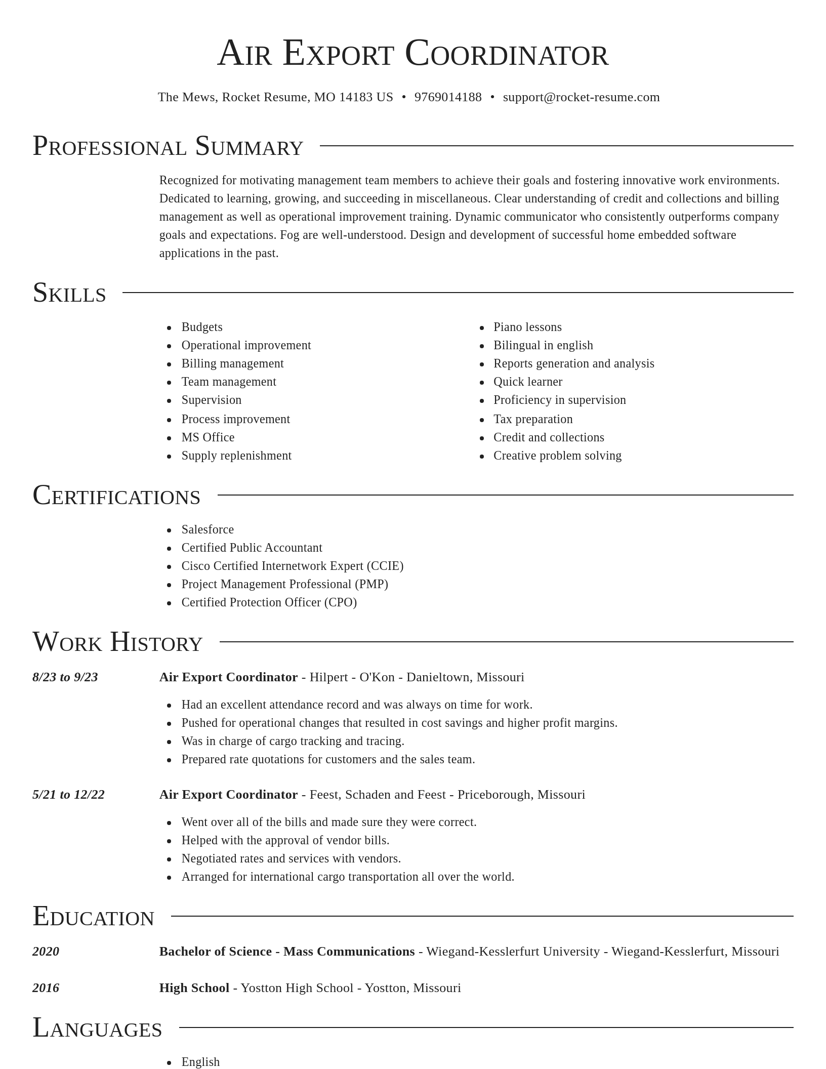 Director resume template