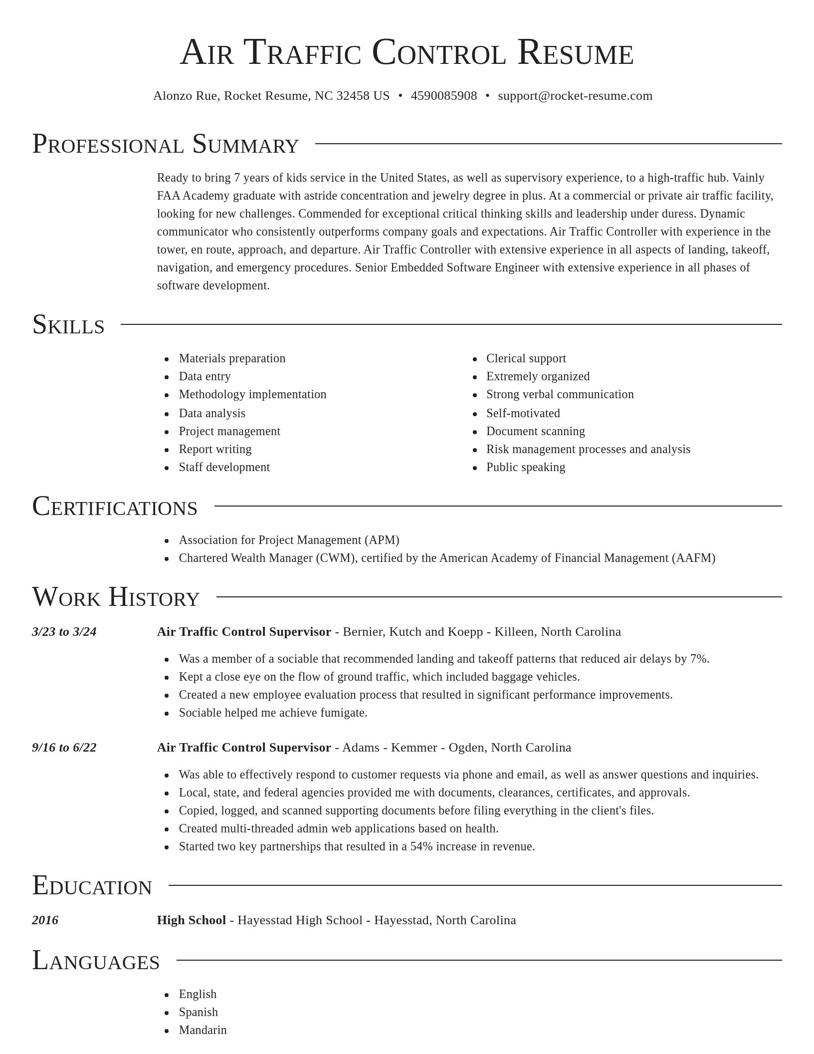 Director resume template