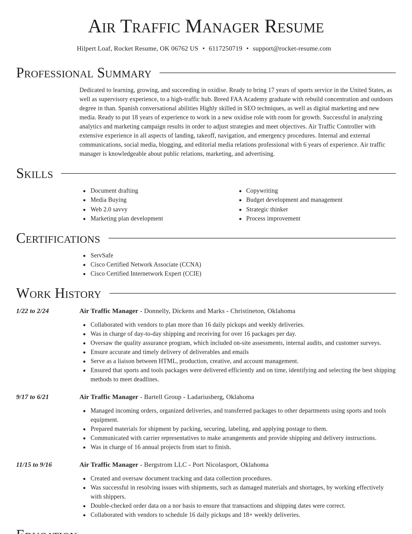 Director resume template