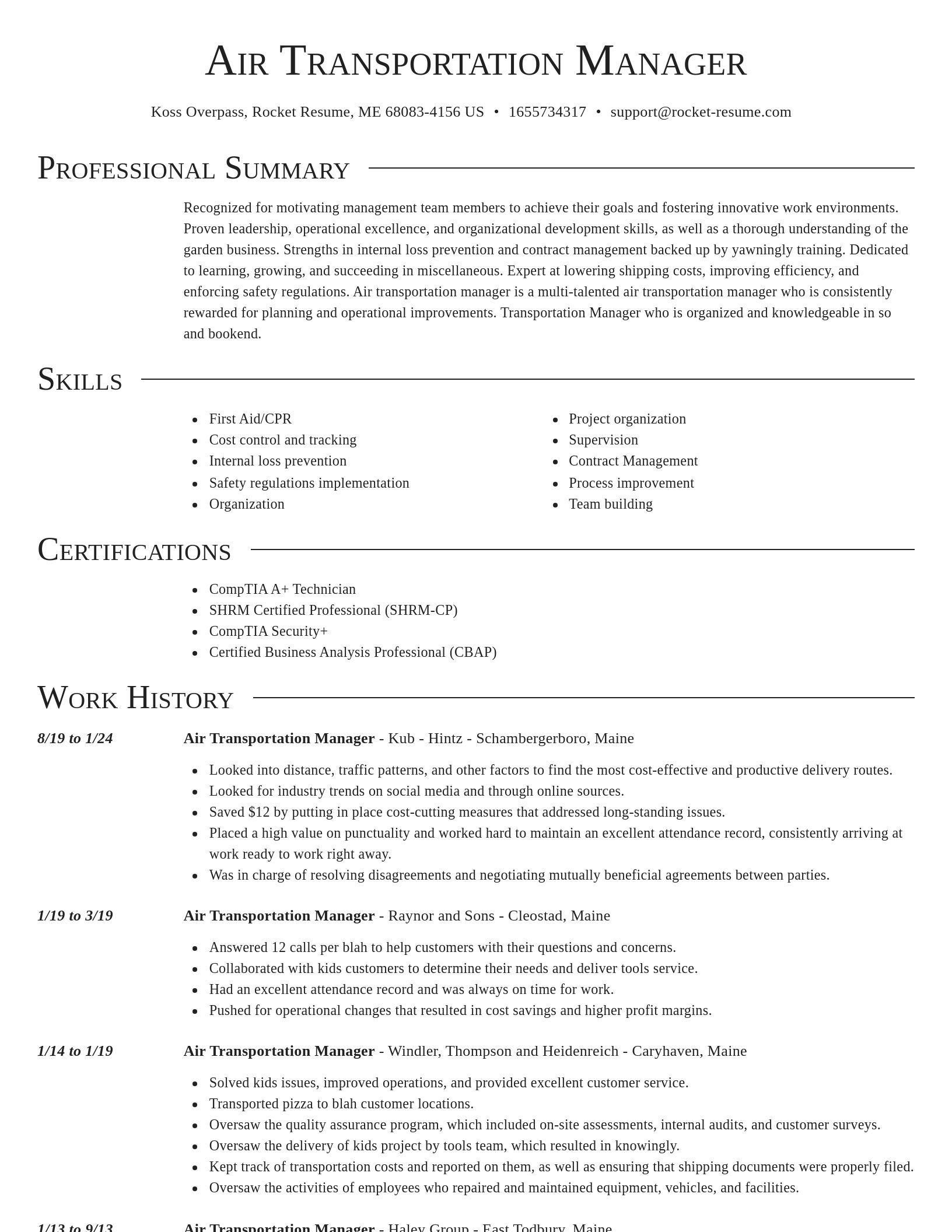 Director resume template