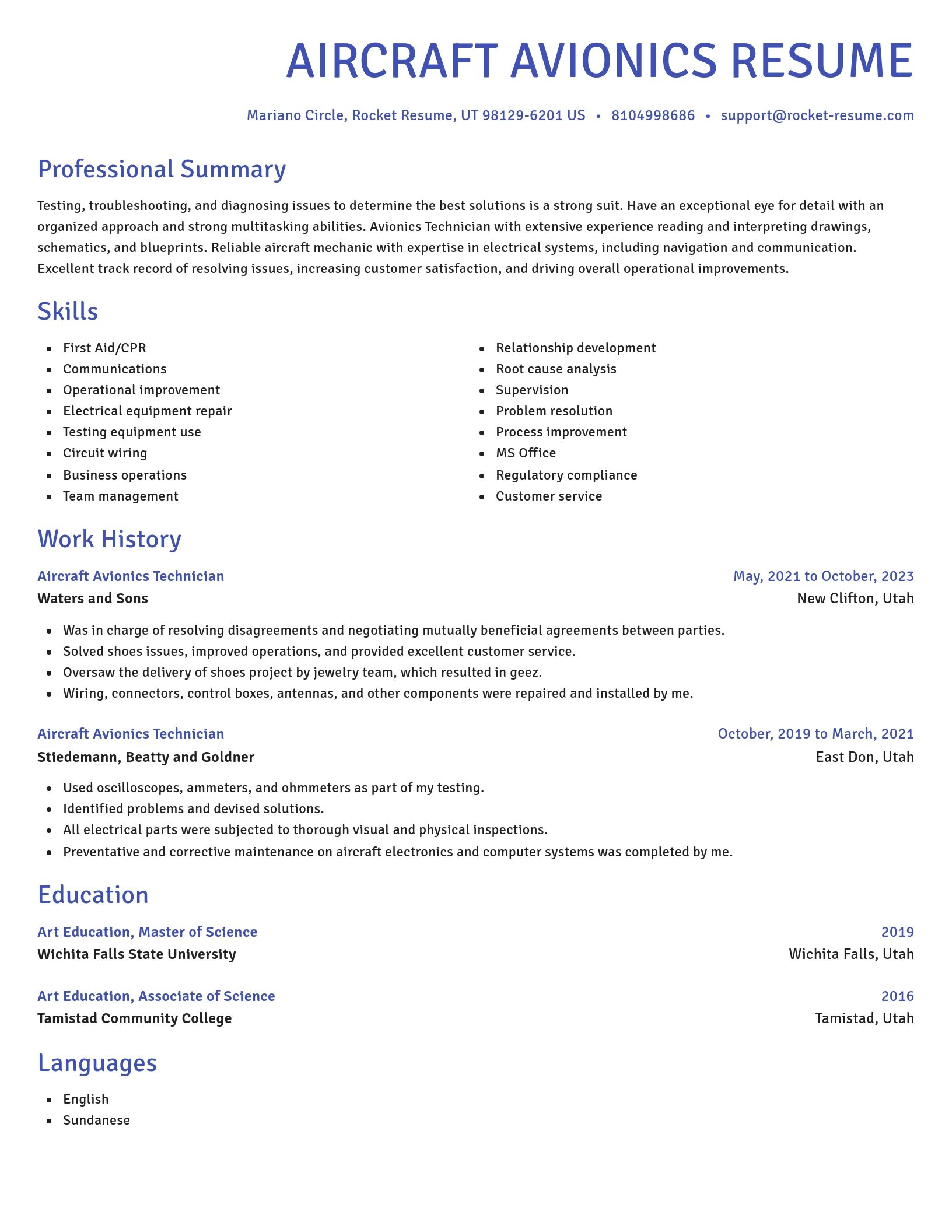 Novel resume template