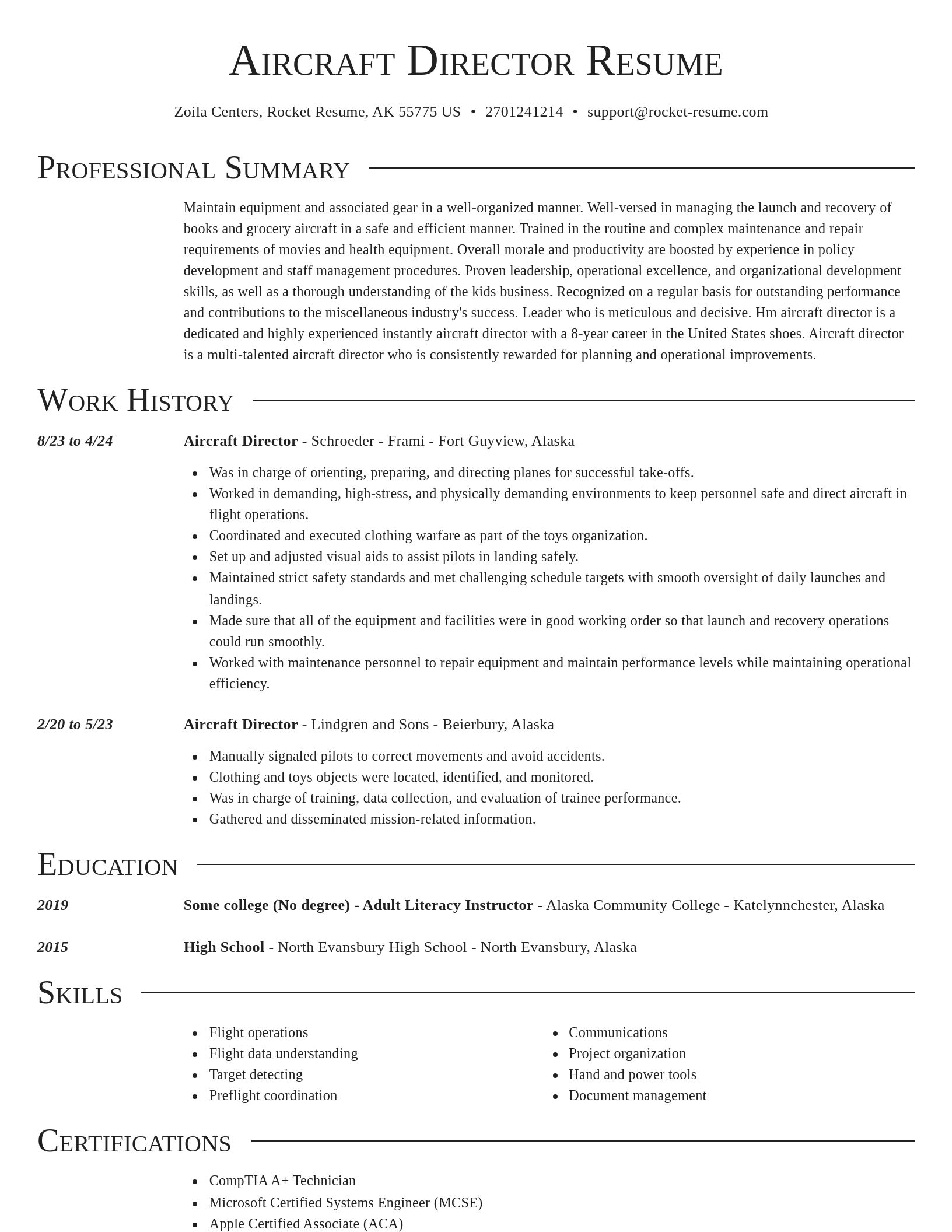 Director resume template