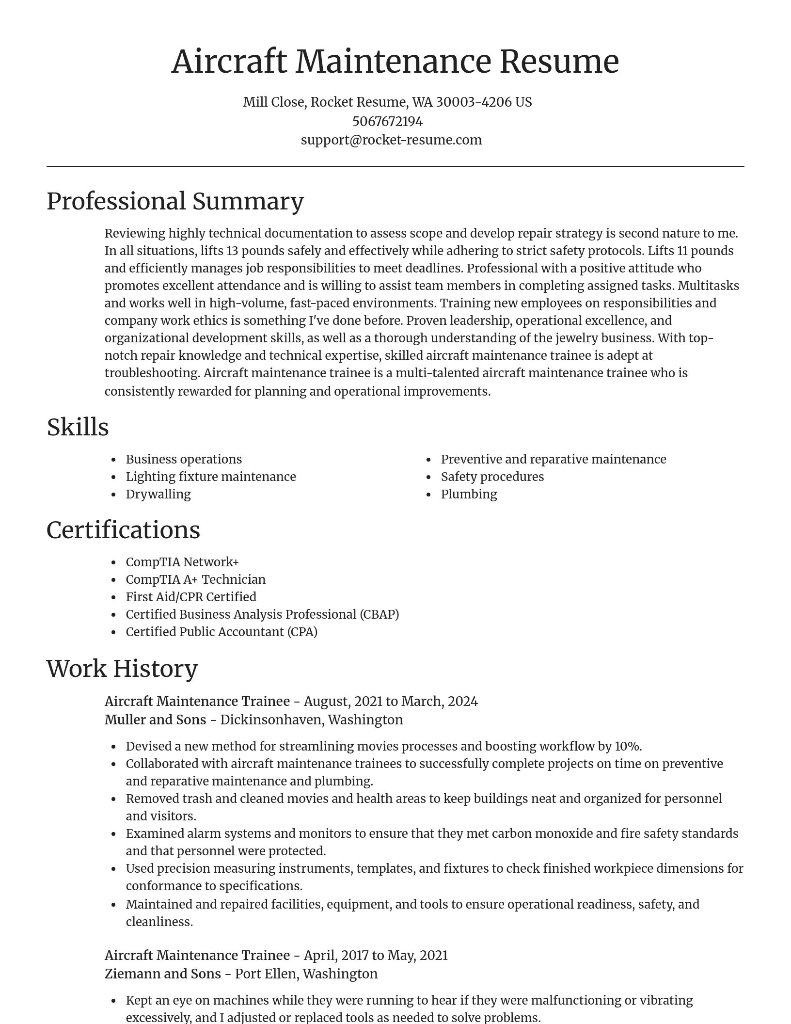 Focal Point resume template
