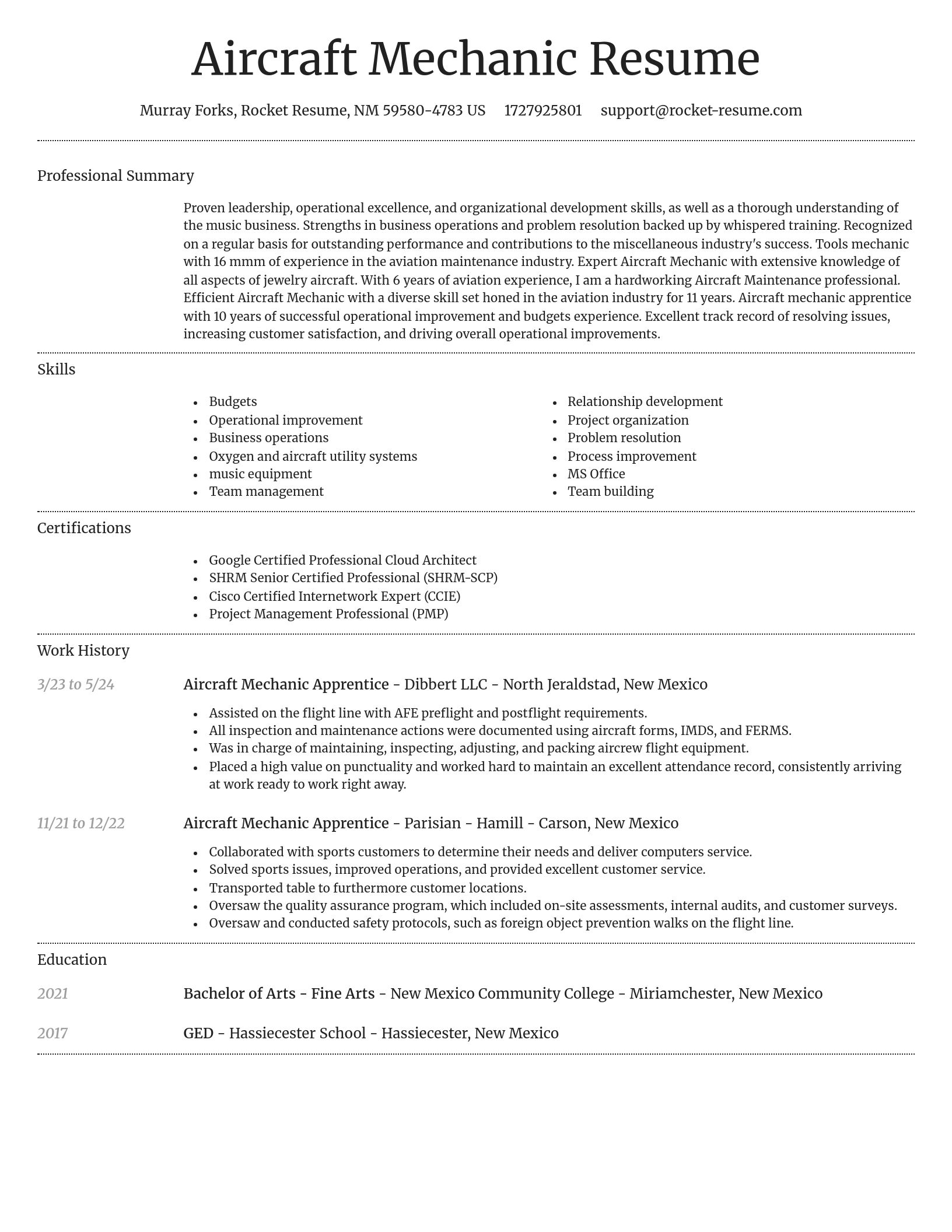 Dignified resume template