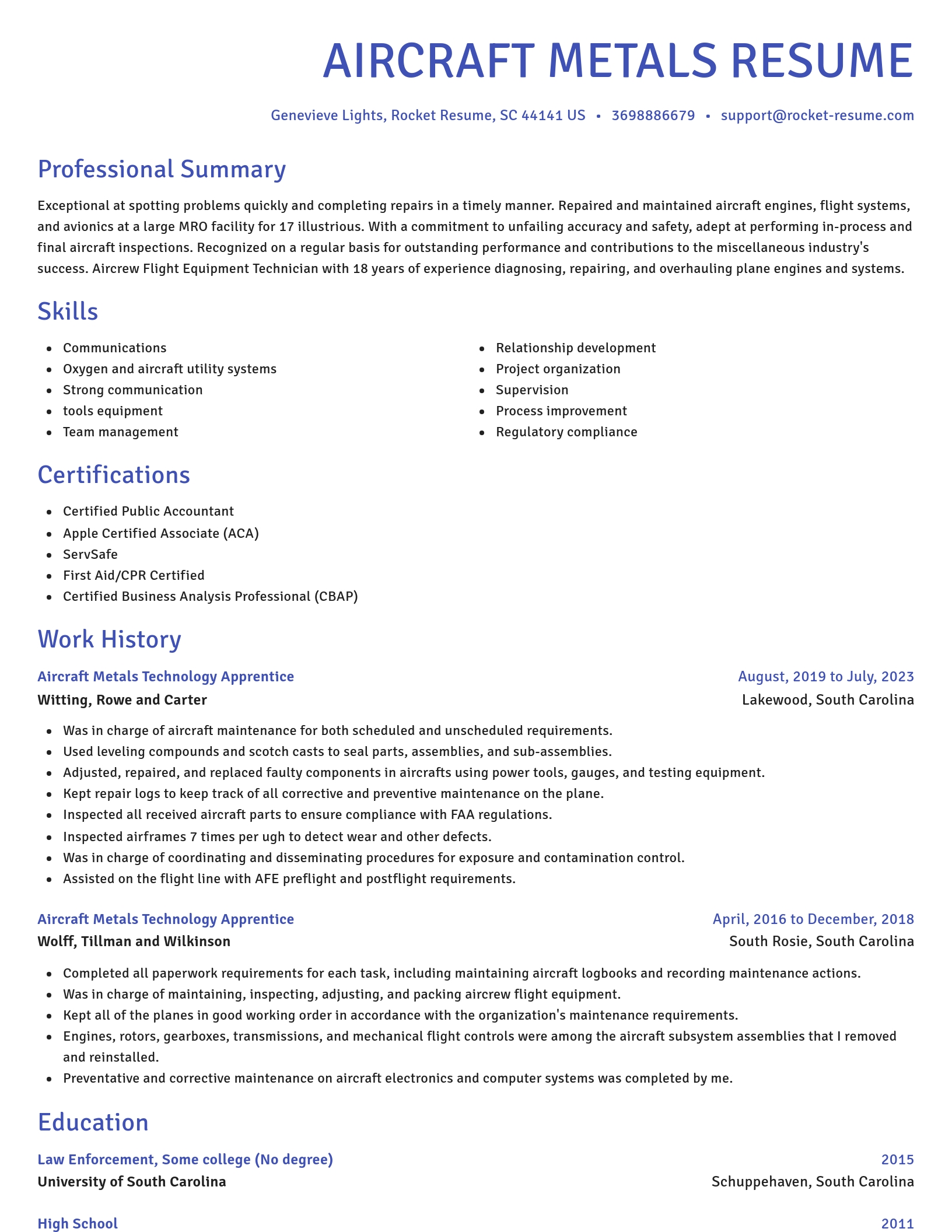 Novel resume template