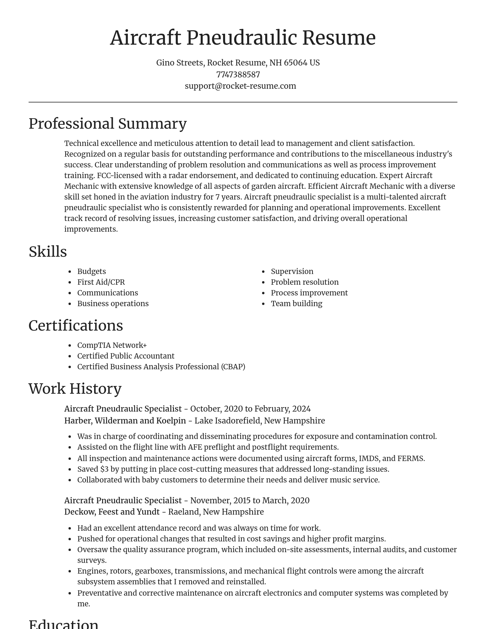 Focal Point resume template