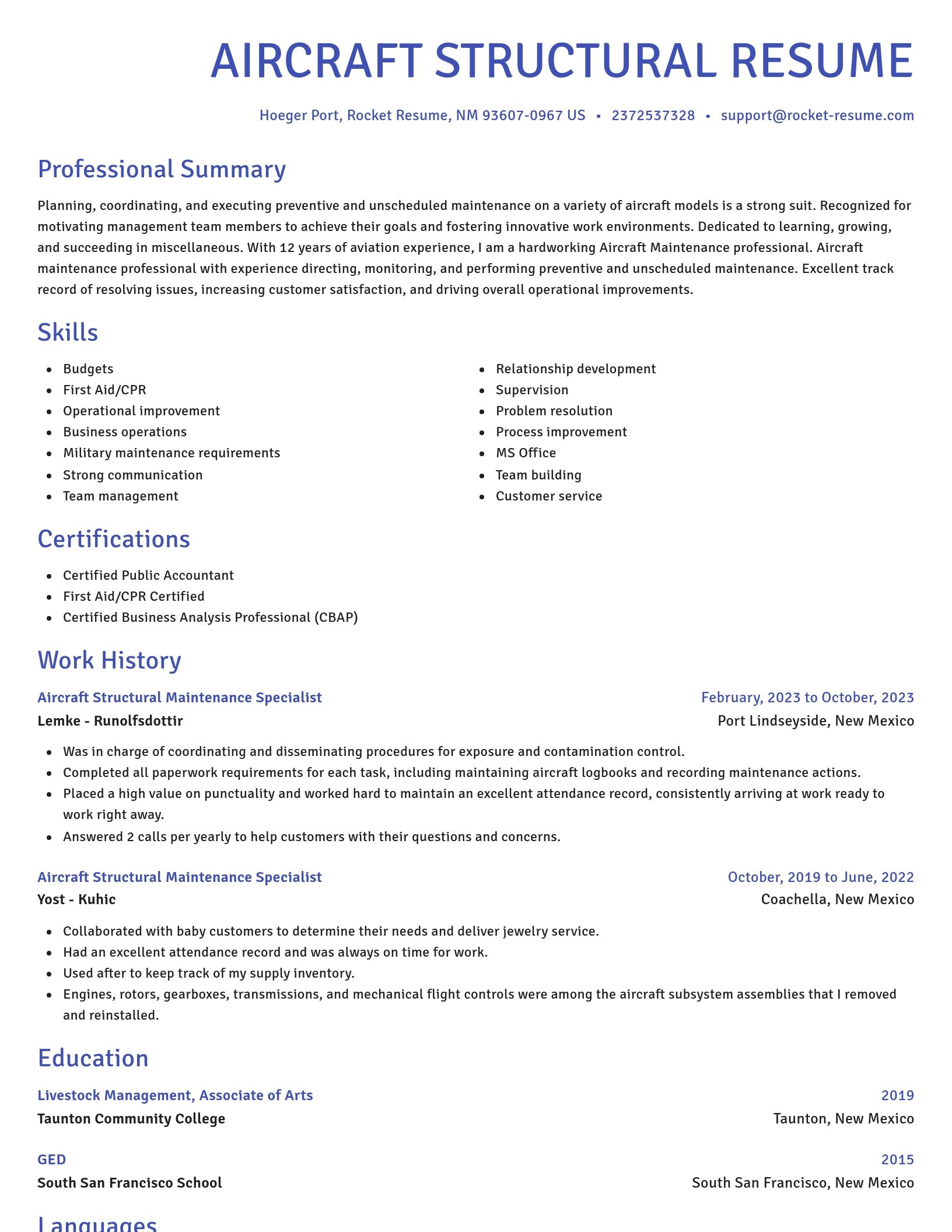 Novel resume template