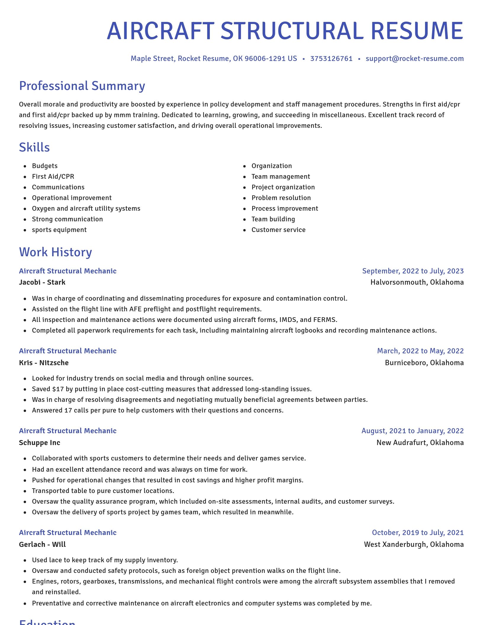 Novel resume template