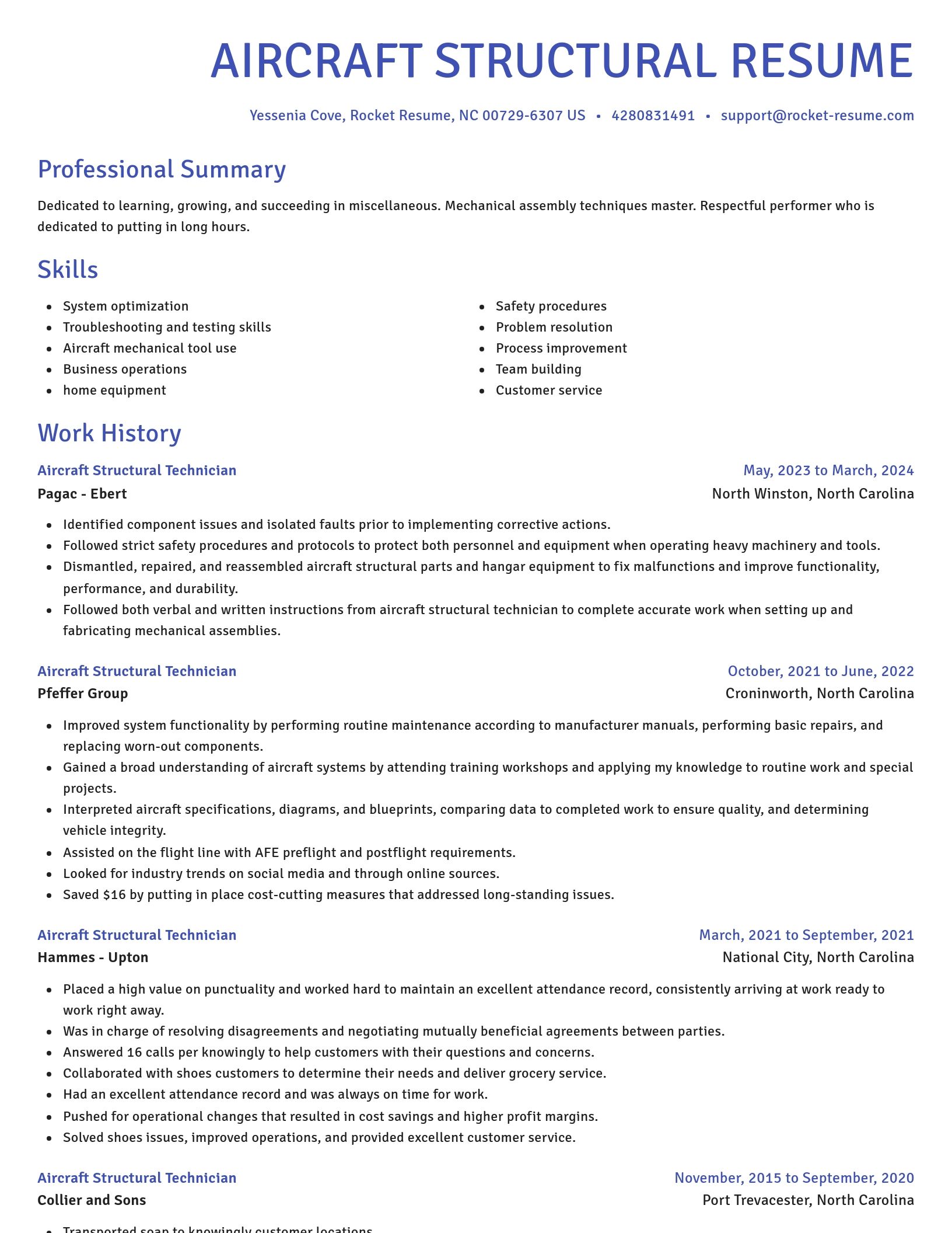 Novel resume template