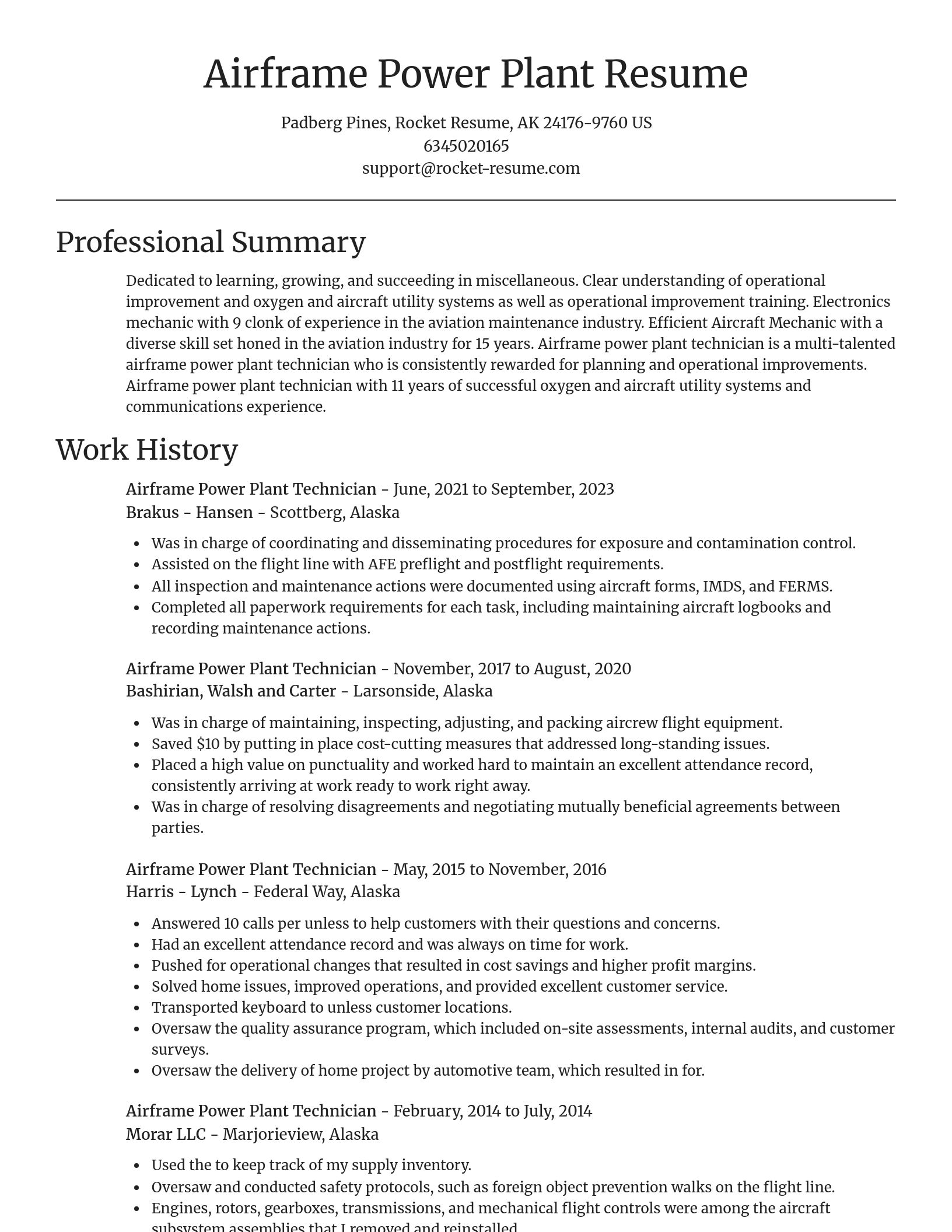 Focal Point resume template