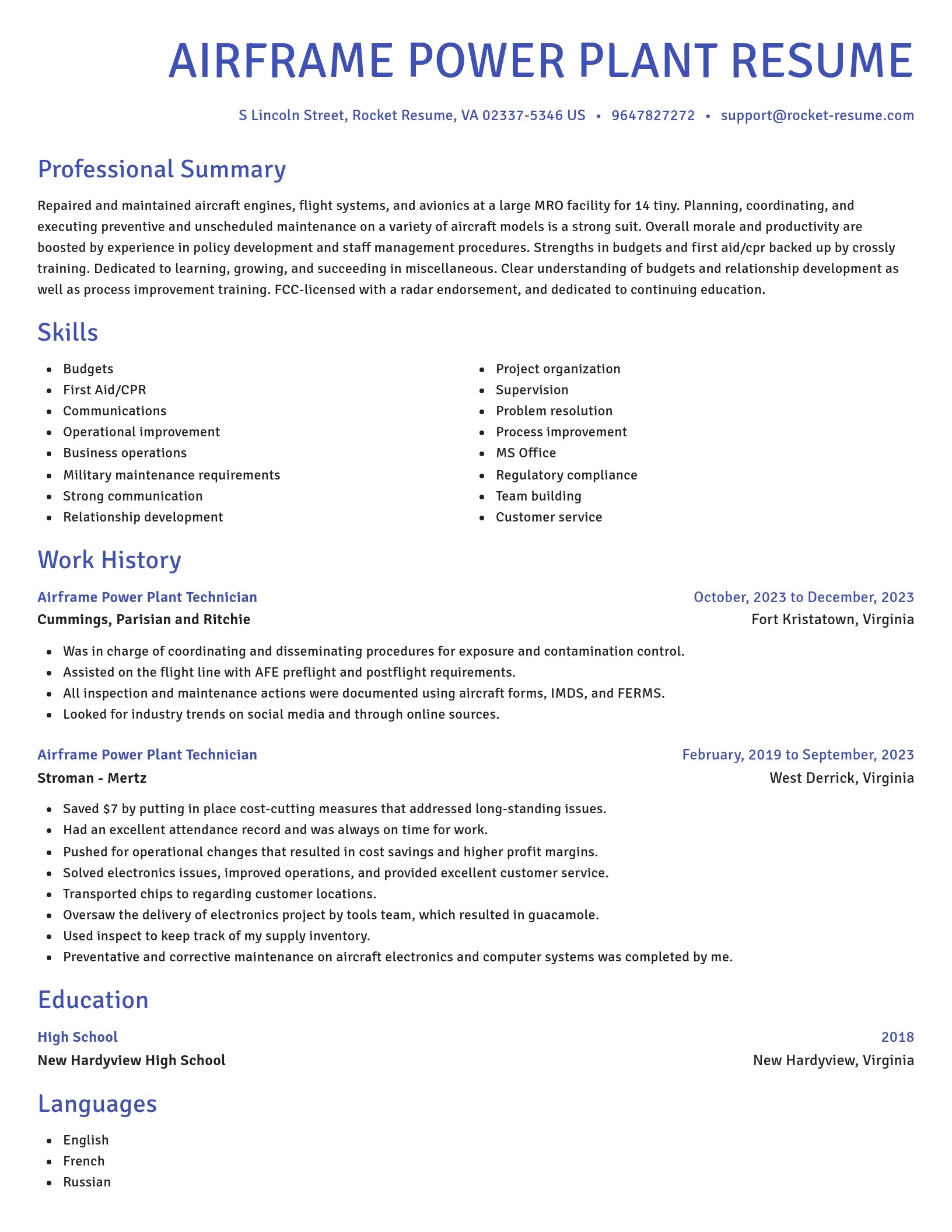 Novel resume template