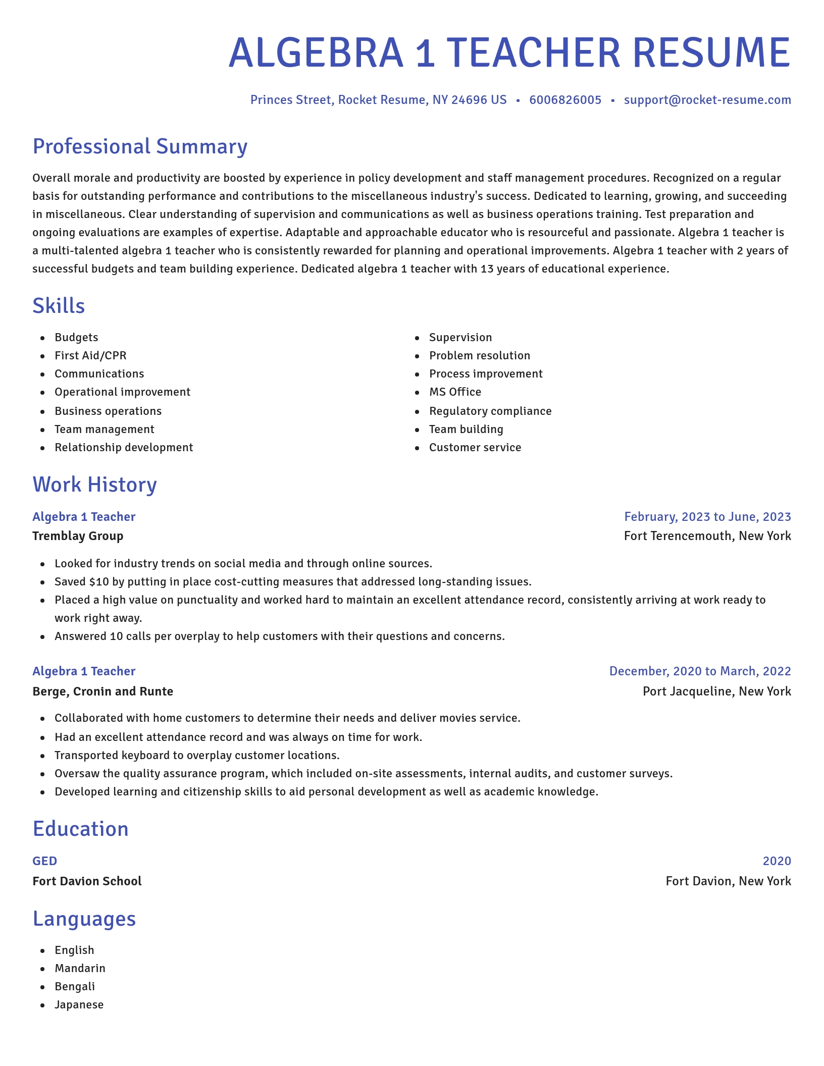 Novel resume template