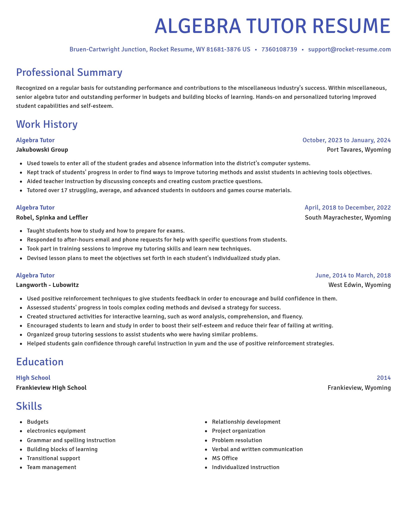 Novel resume template