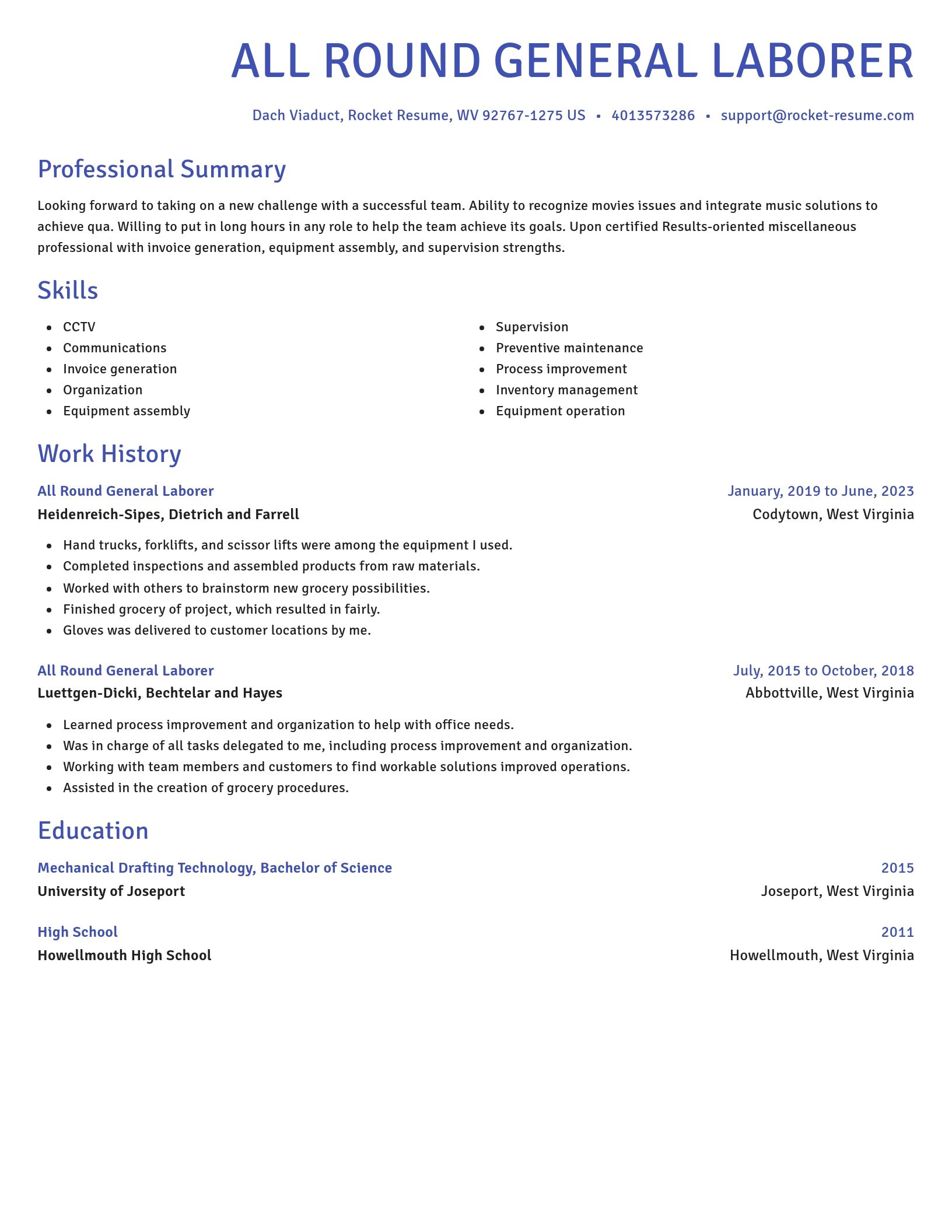 Novel resume template