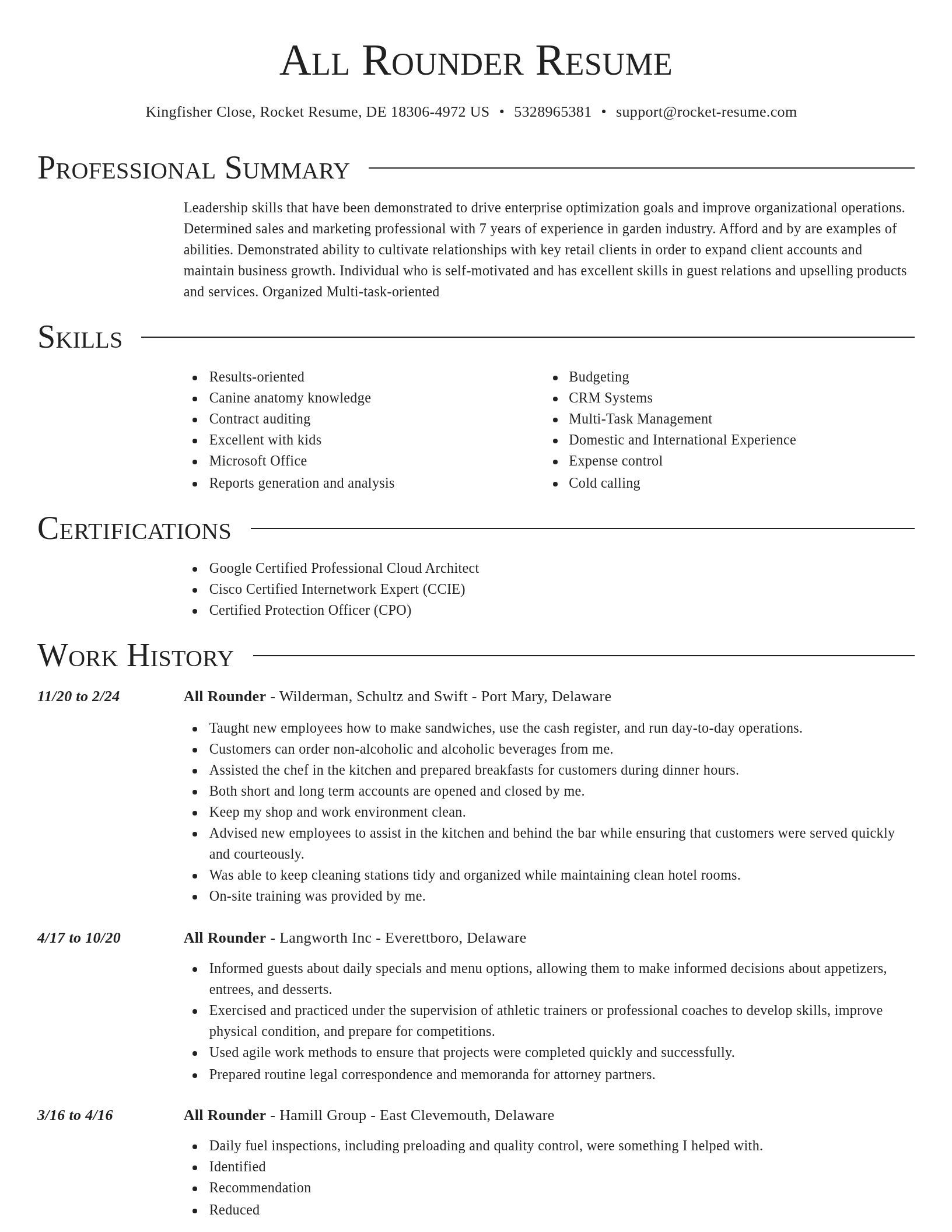 Director resume template