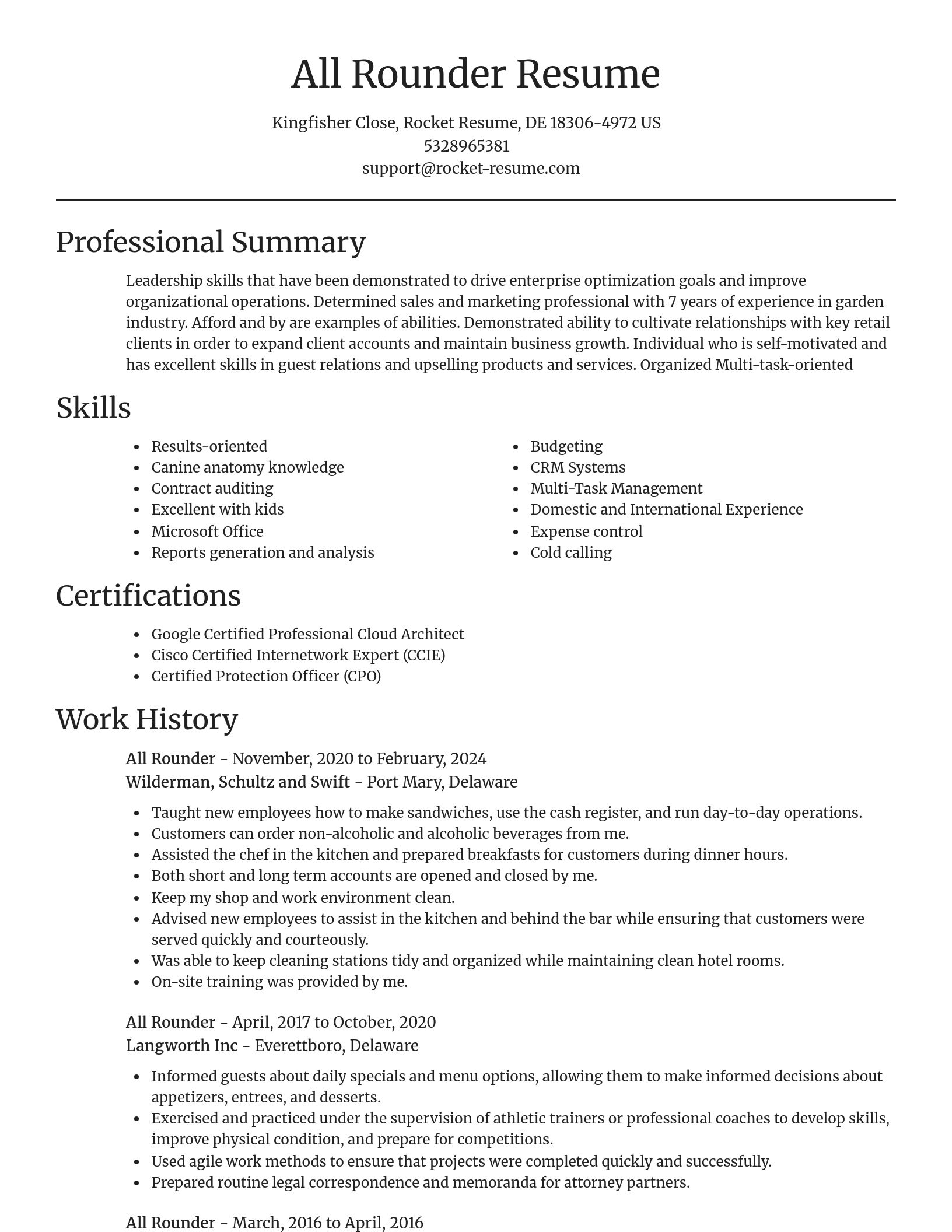 Focal Point resume template