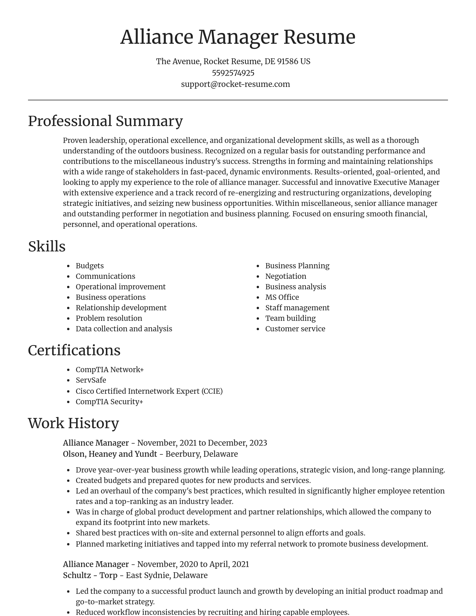 Focal Point resume template
