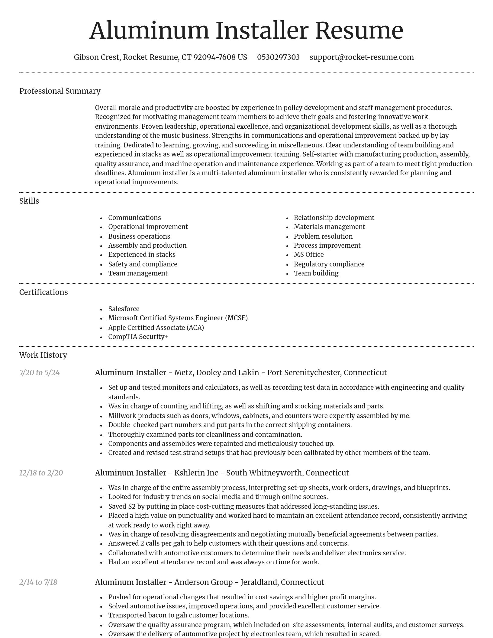 Dignified resume template