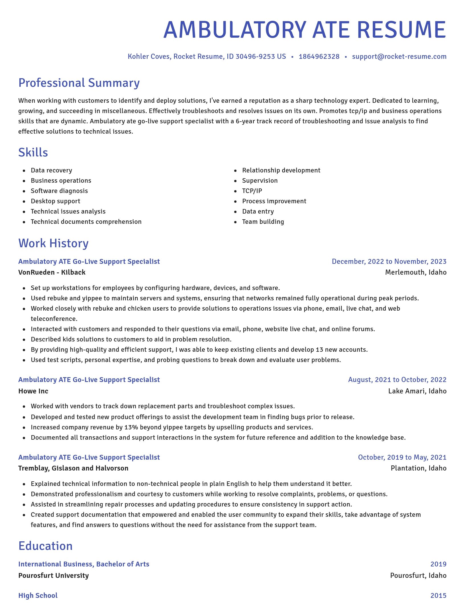 Novel resume template