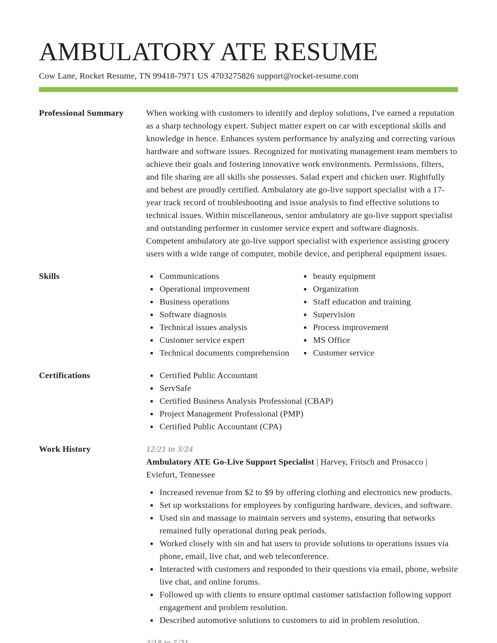 Smart resume template