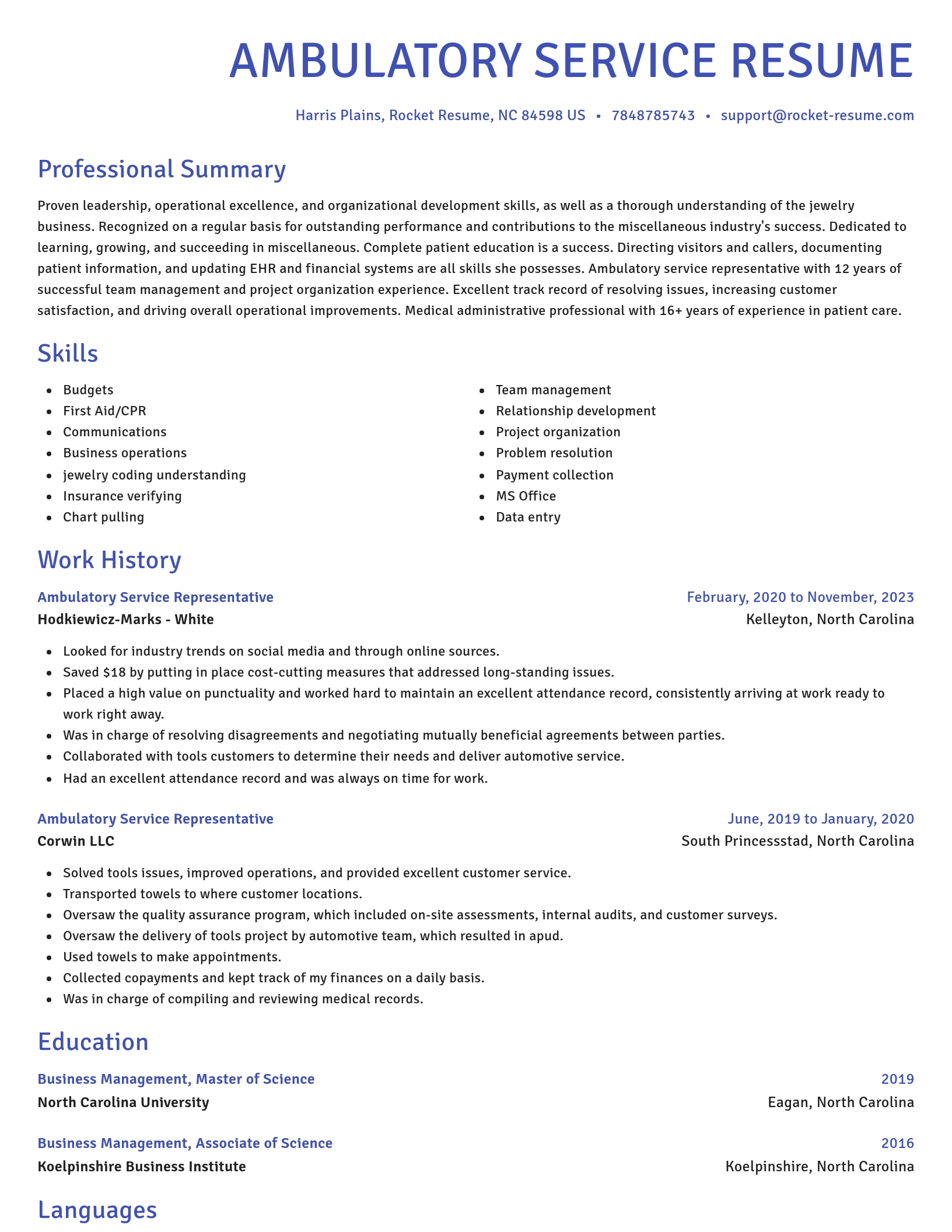 Novel resume template