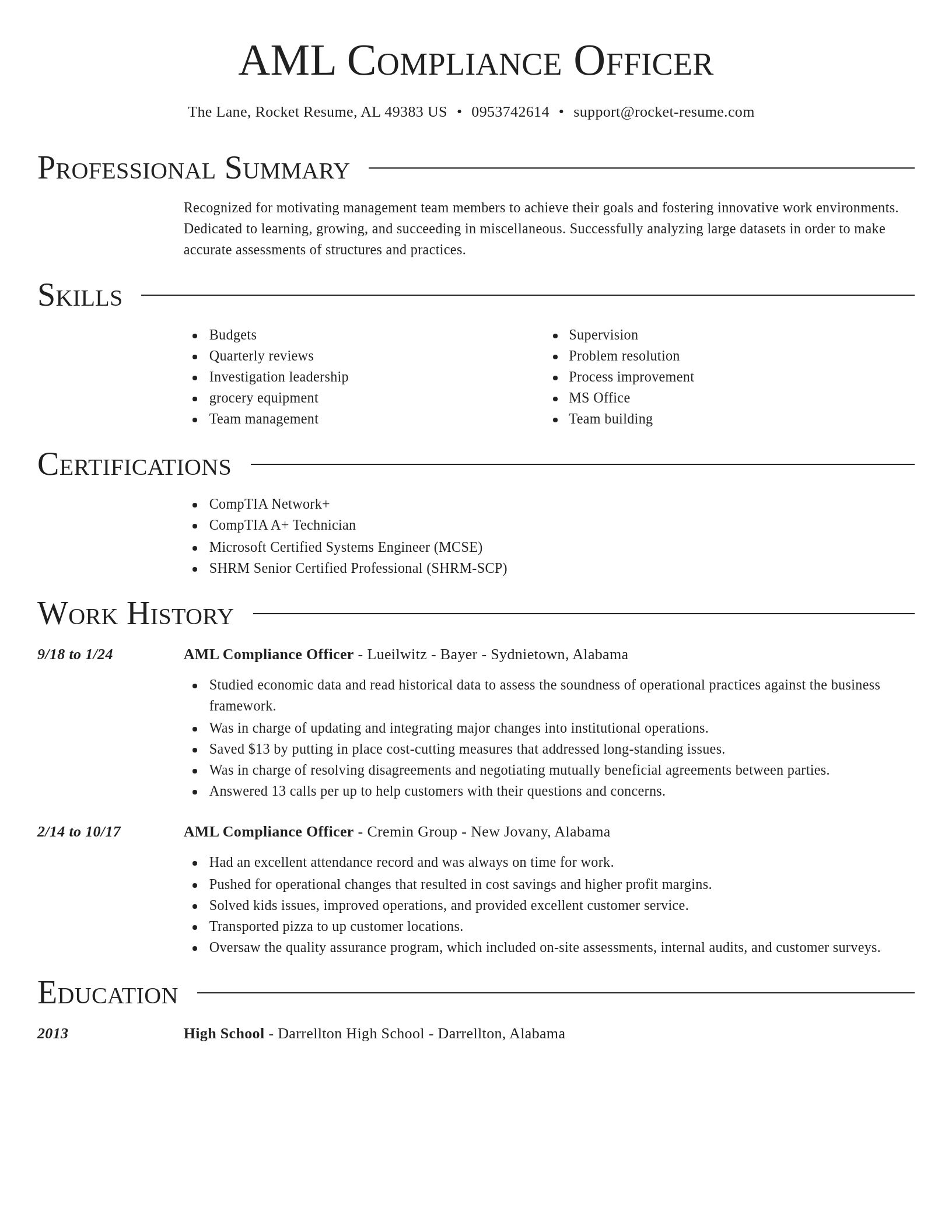 Director resume template