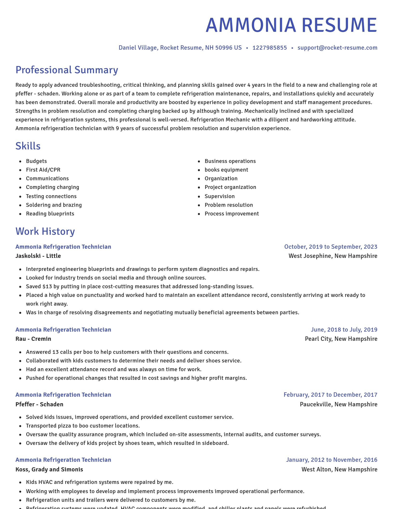 Novel resume template