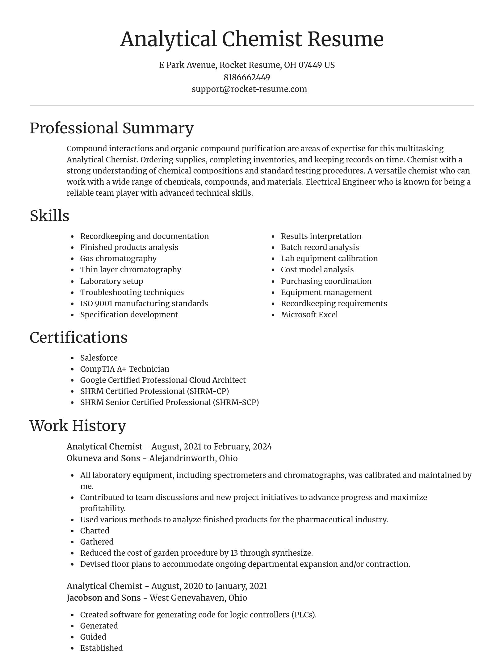 Focal Point resume template