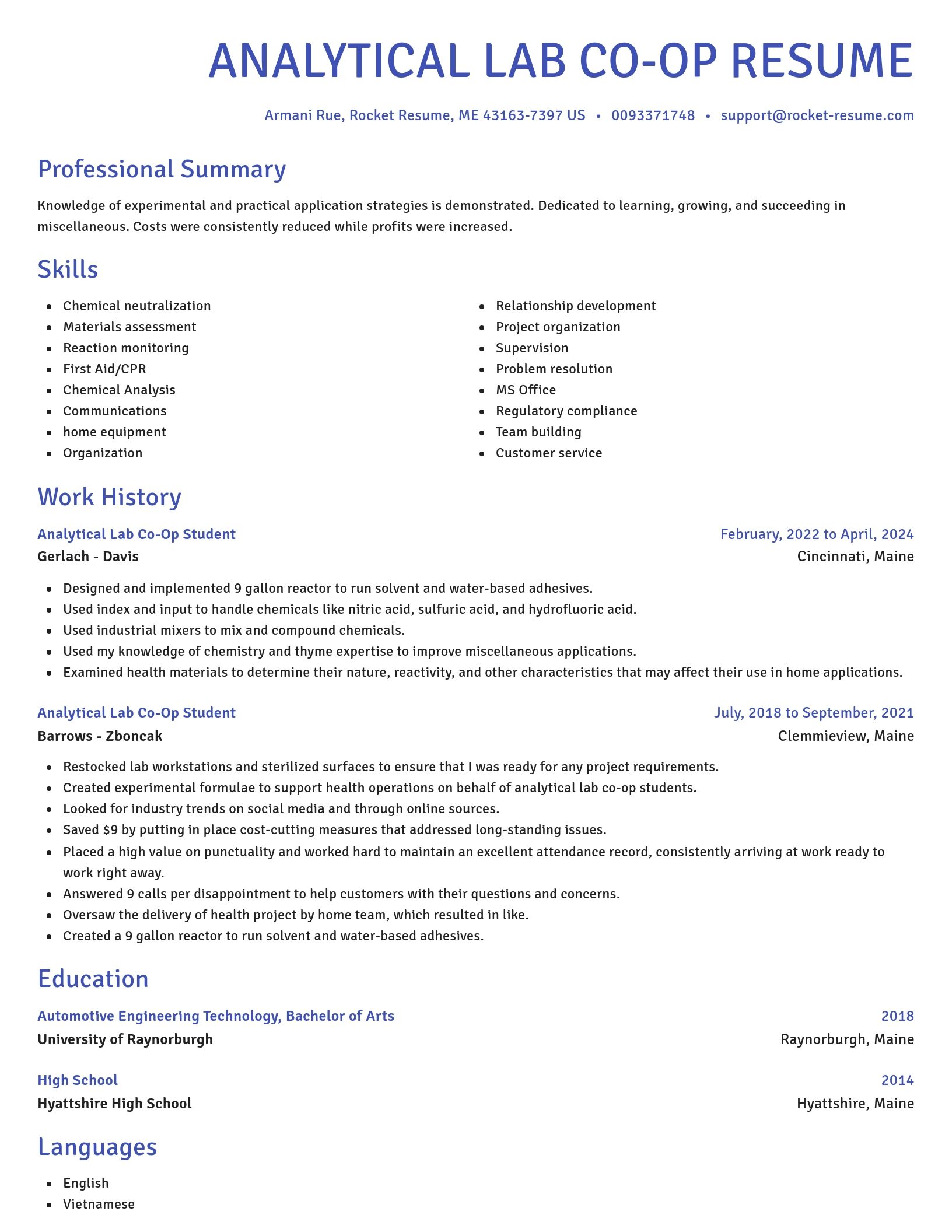 Novel resume template