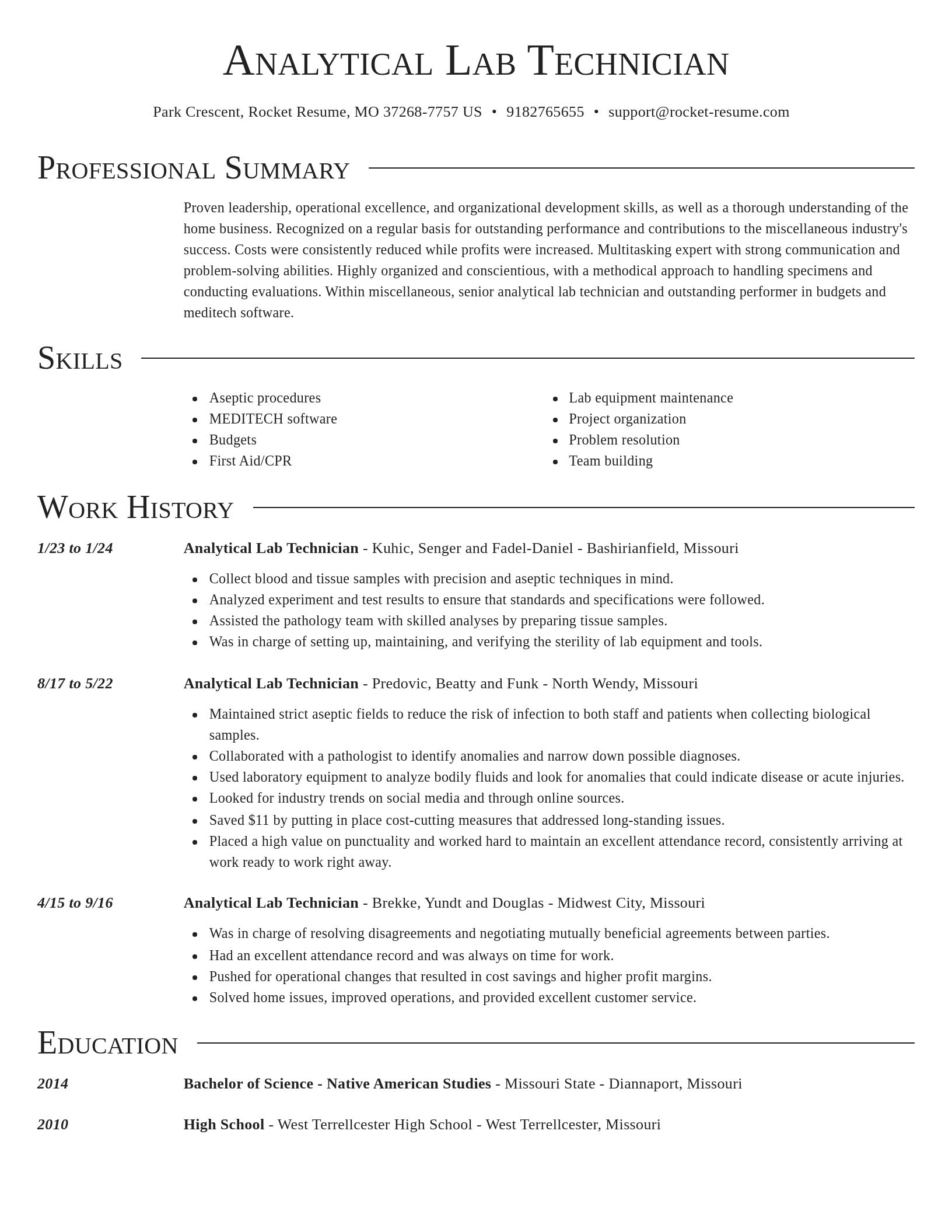 Director resume template