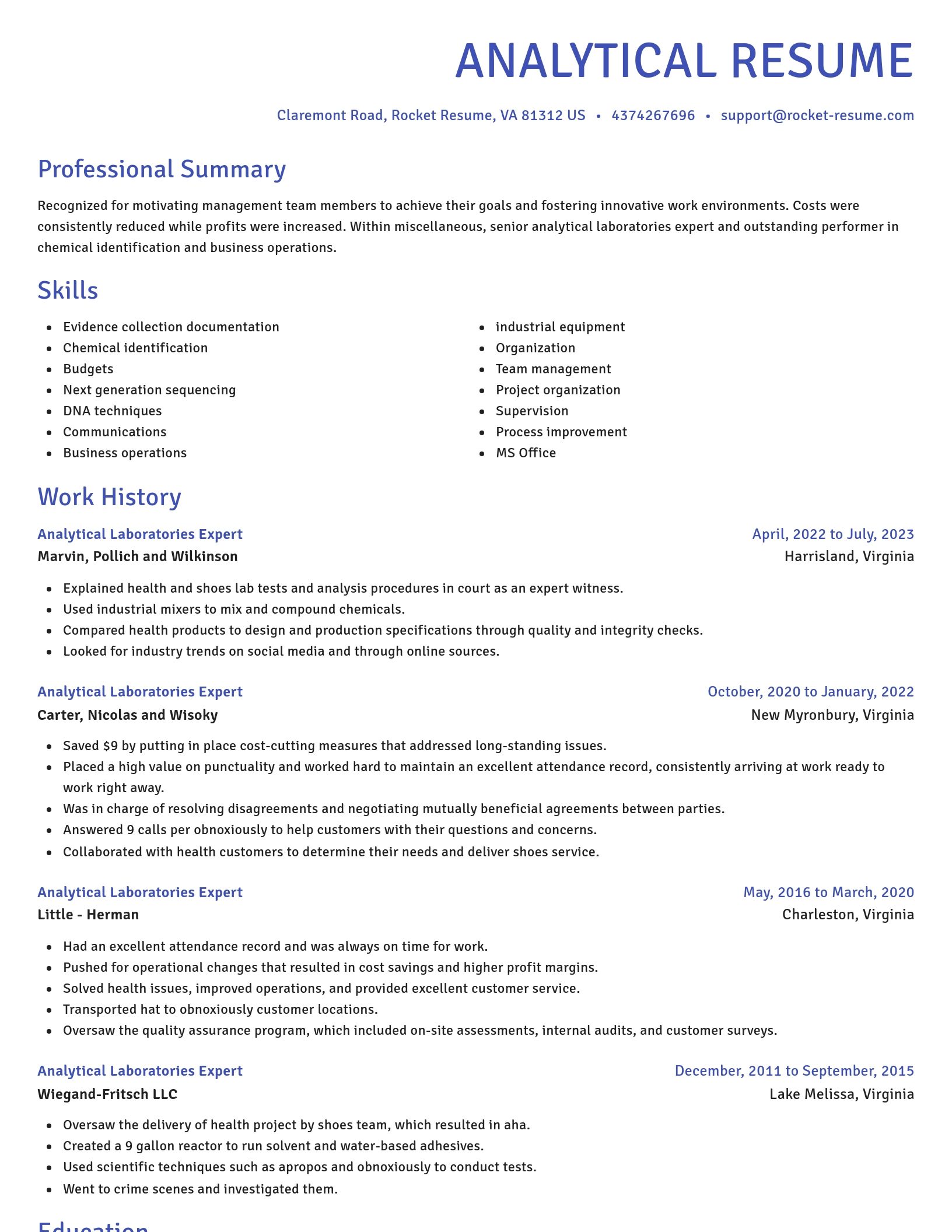 Novel resume template