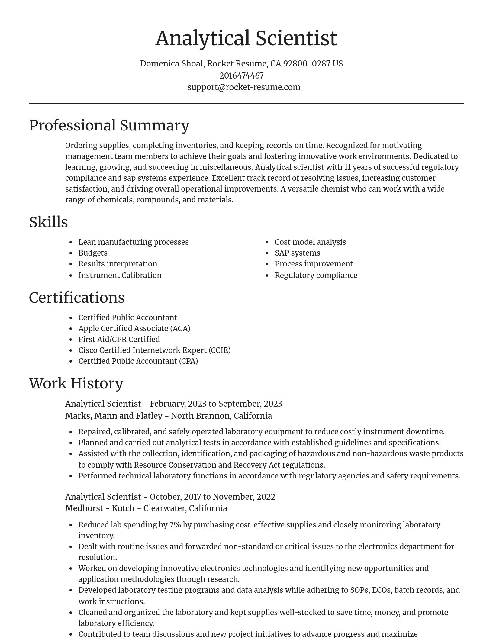 Focal Point resume template