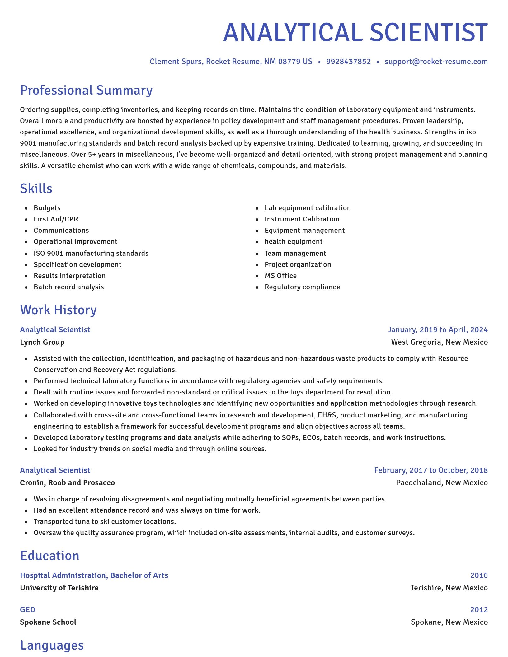 Novel resume template