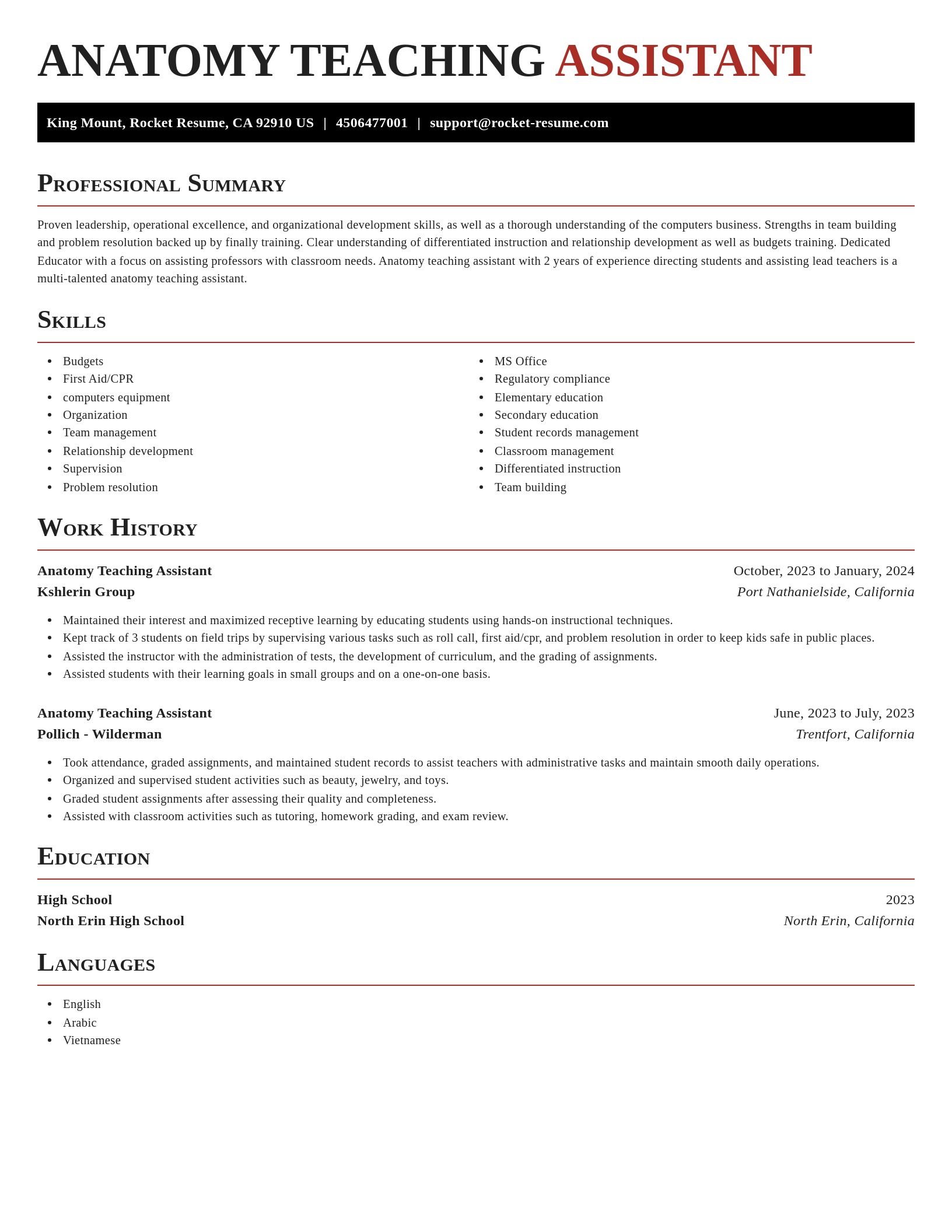 Exquisite resume template