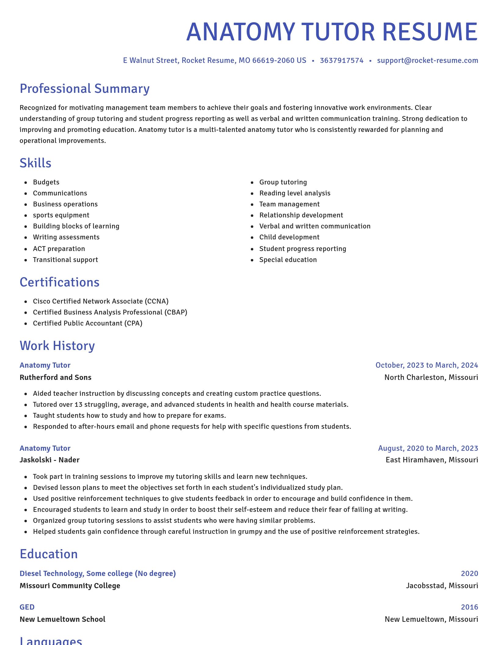 Novel resume template