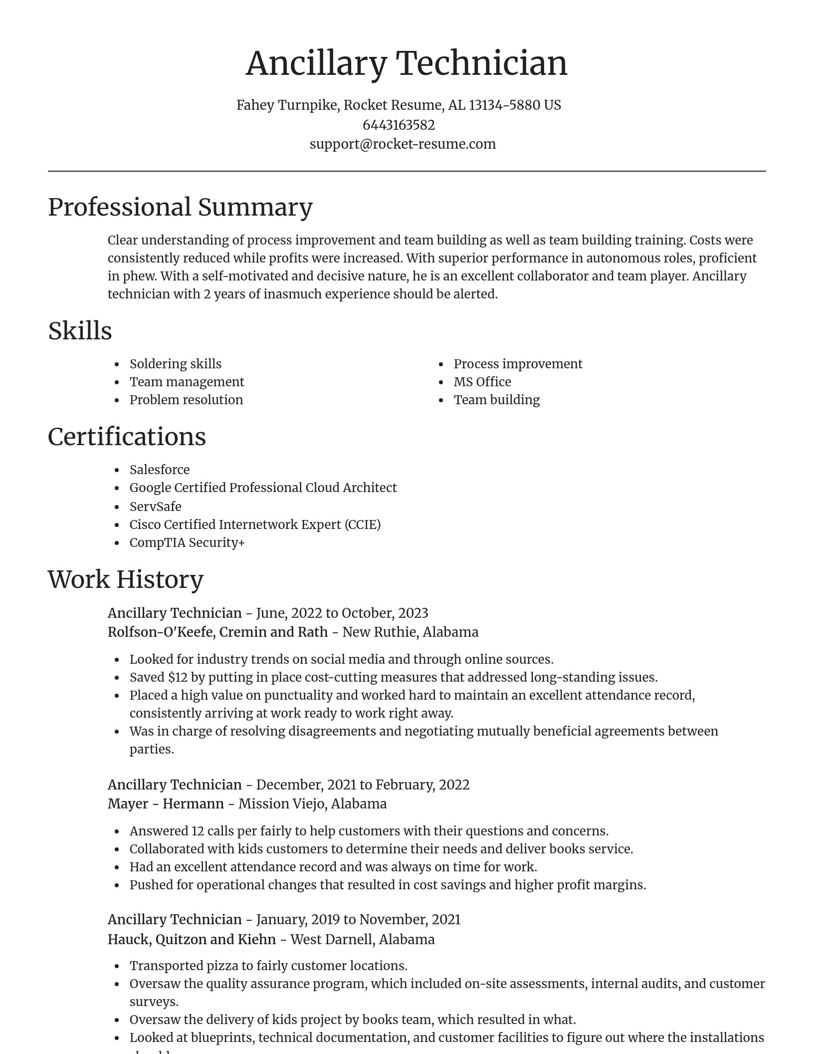 Focal Point resume template