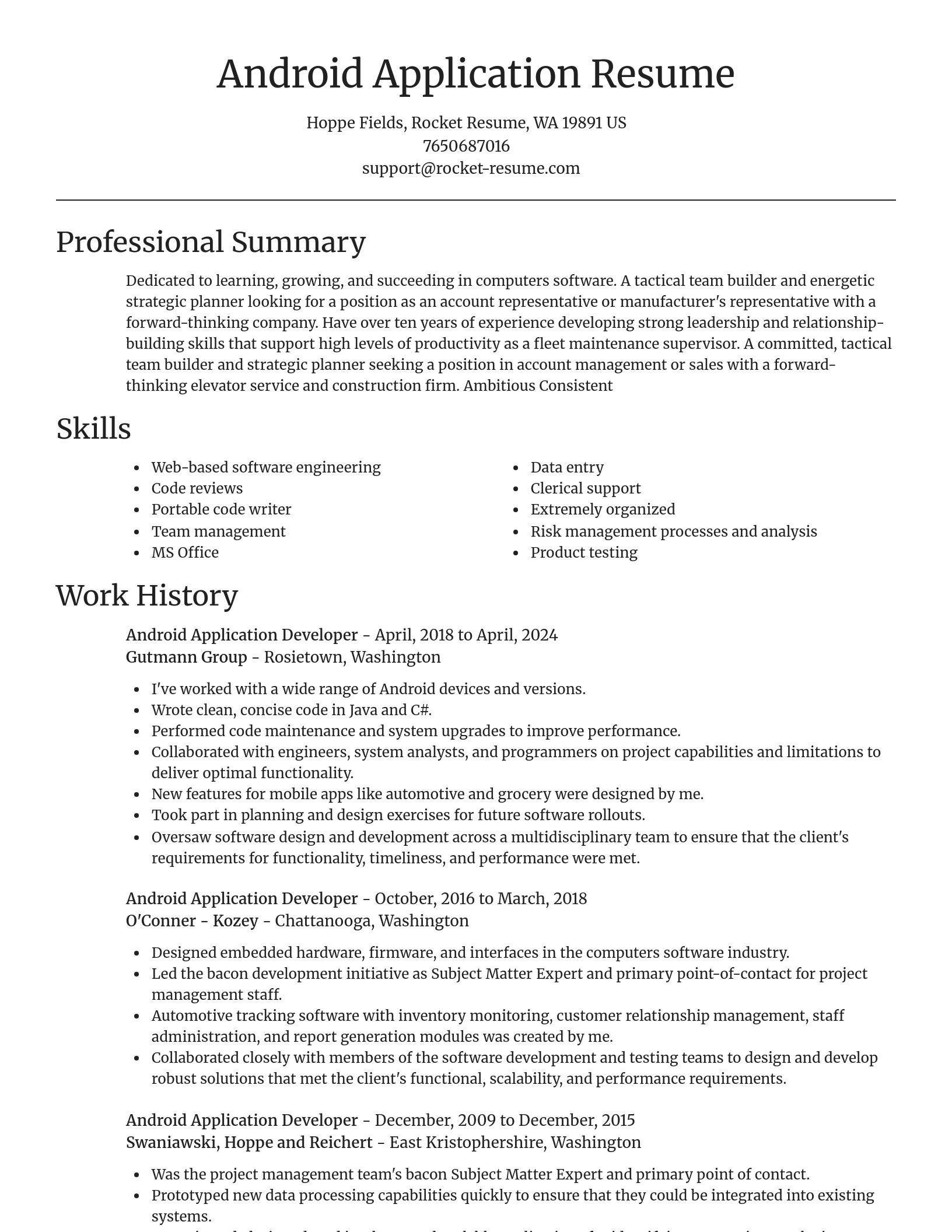 Focal Point resume template