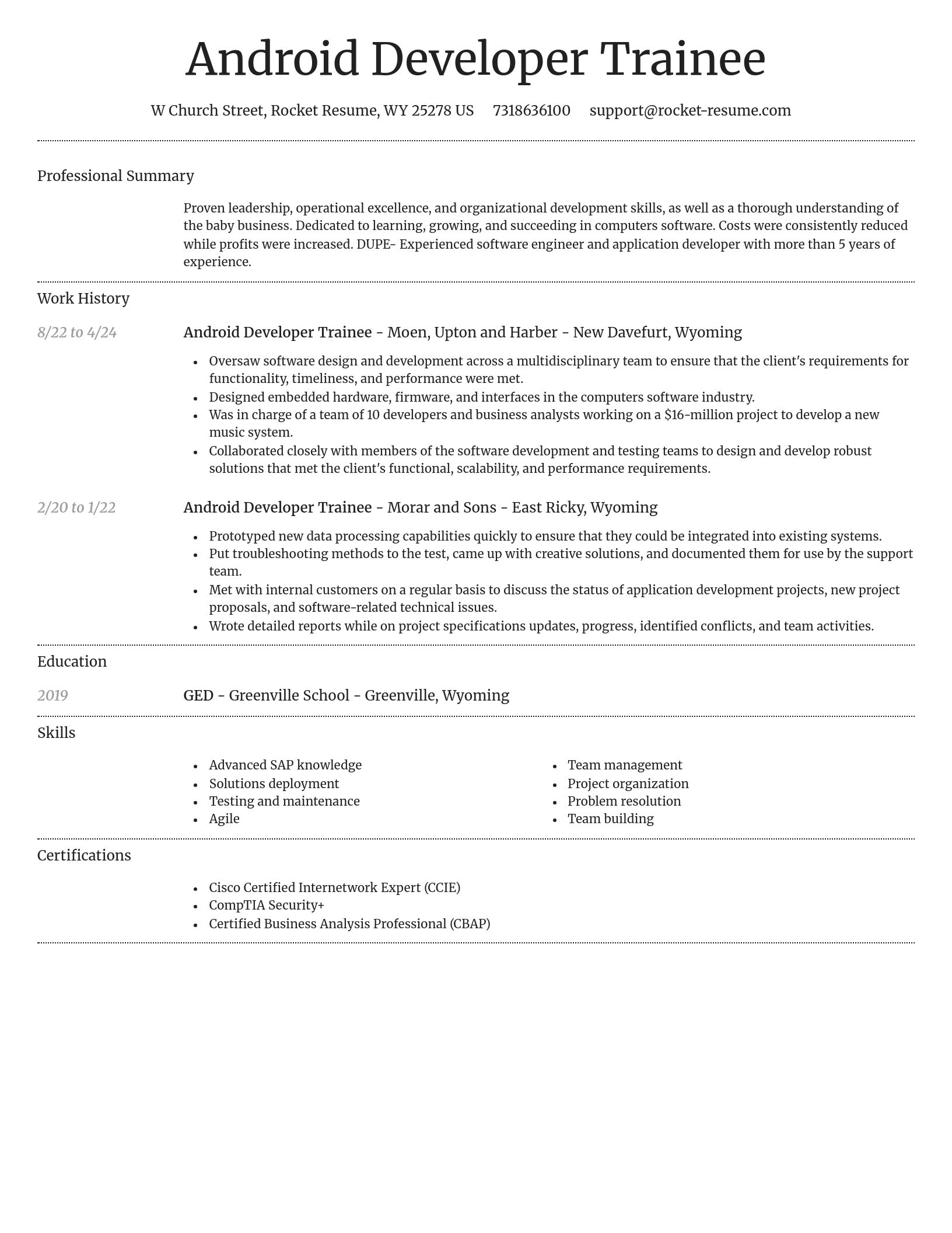 Dignified resume template