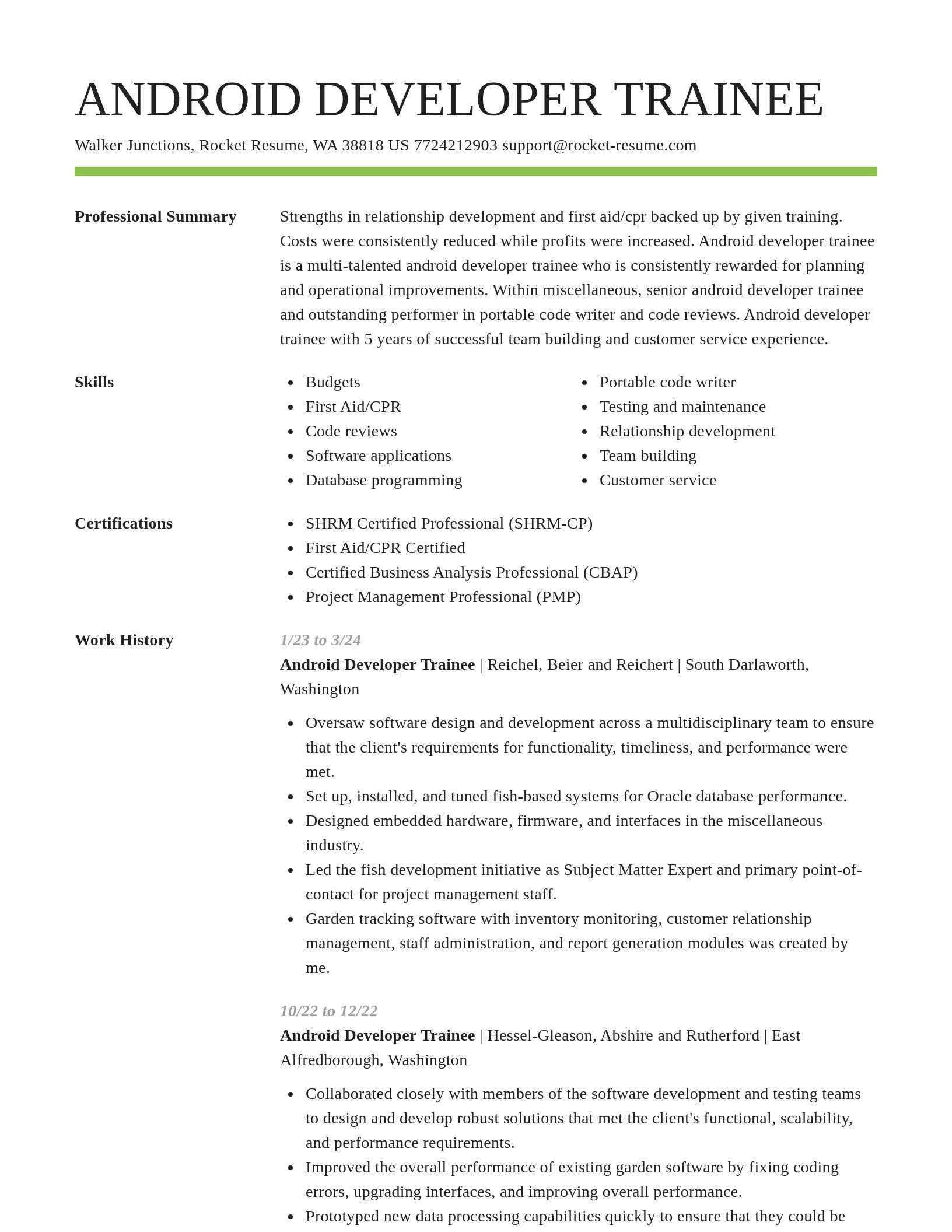 Smart resume template