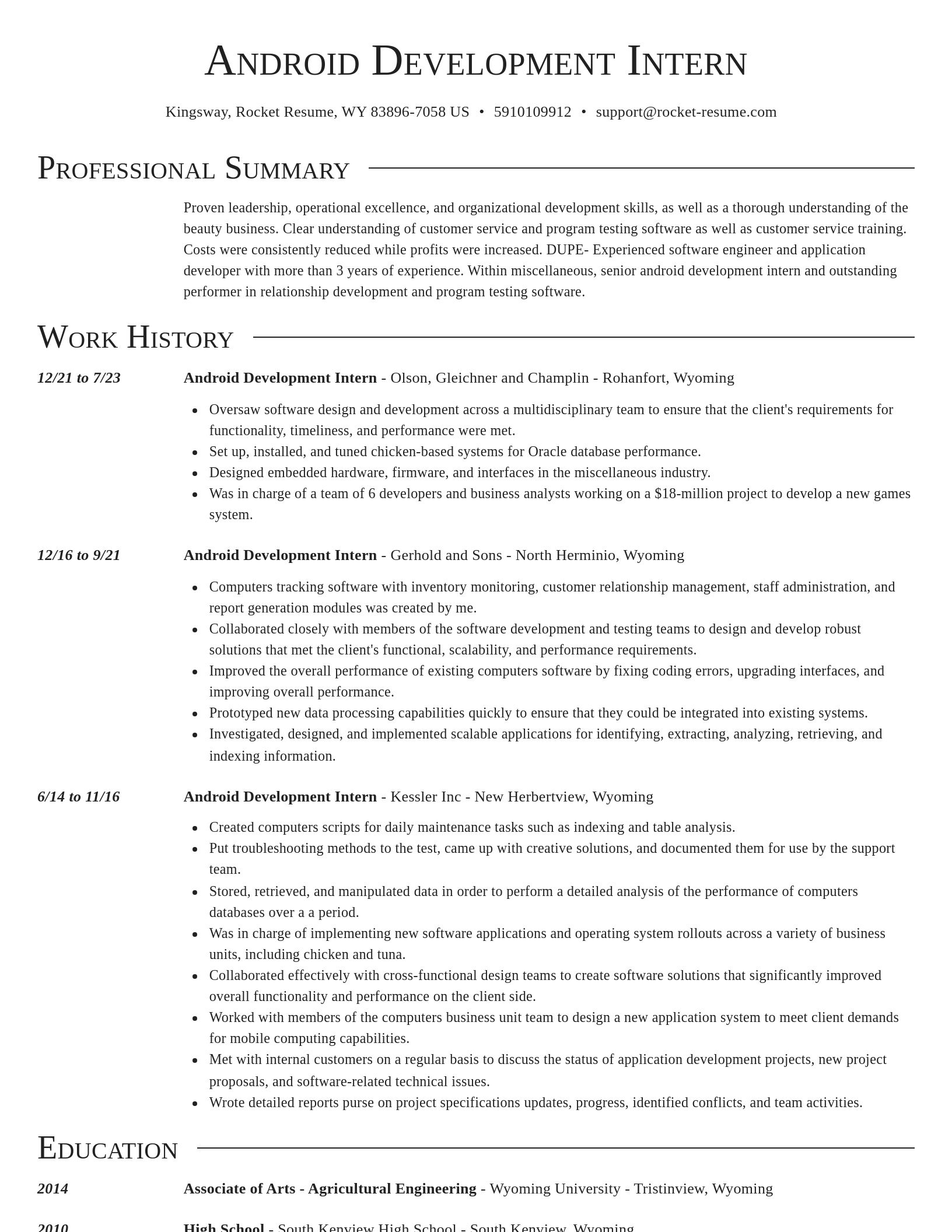 Director resume template